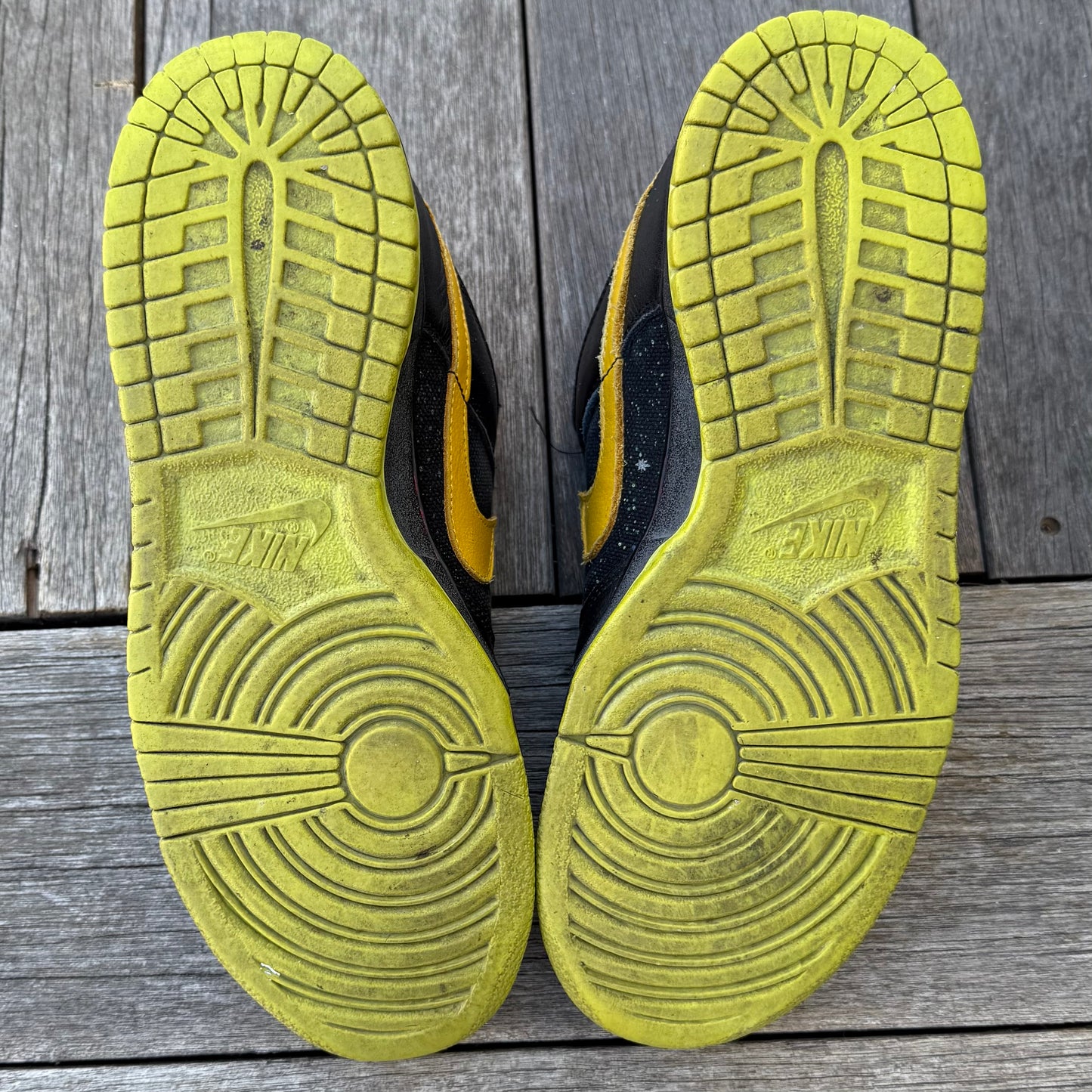 Nike SB Dunk Low Space Tiger Size 9