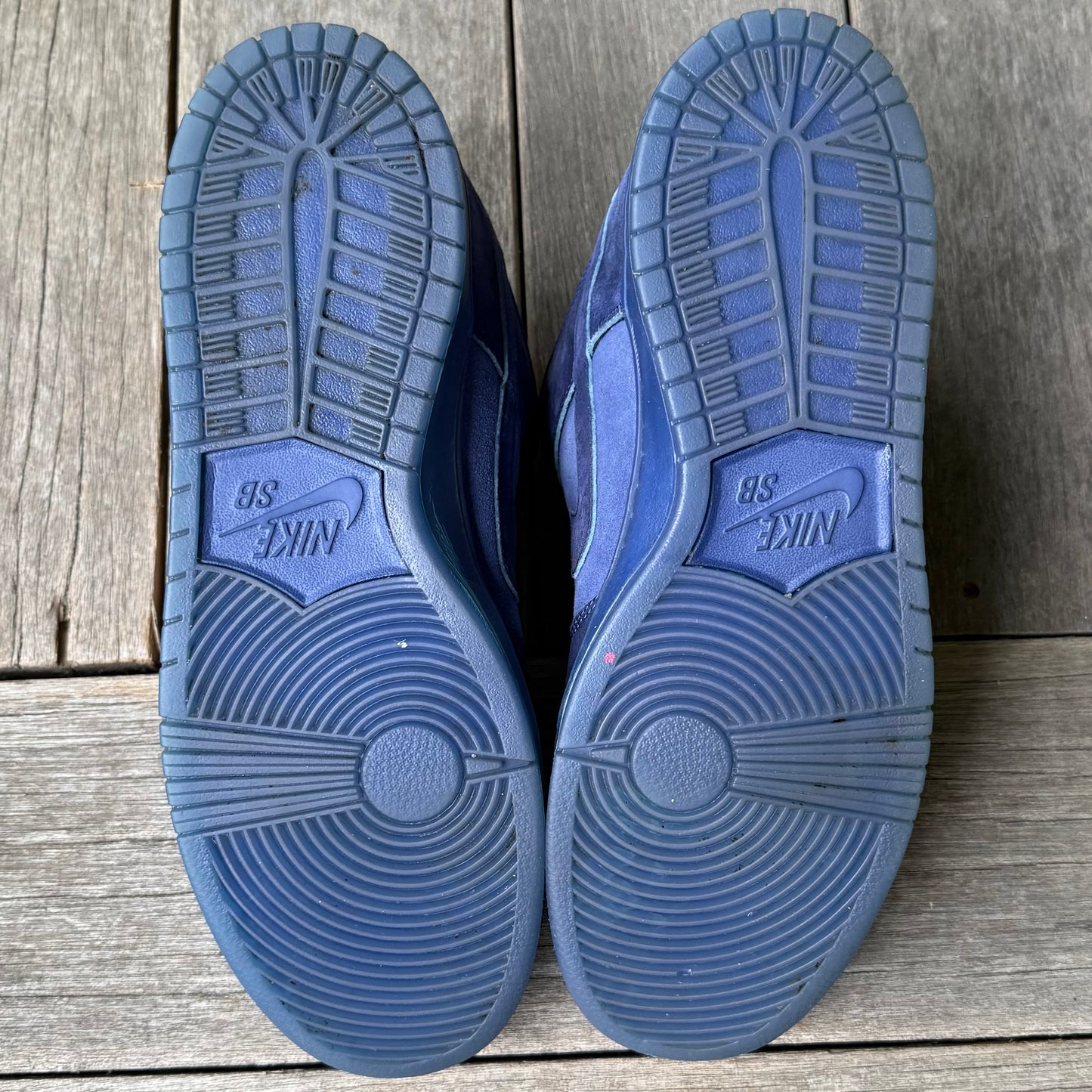 Nike SB Dunk Low Blue Moon Size 14