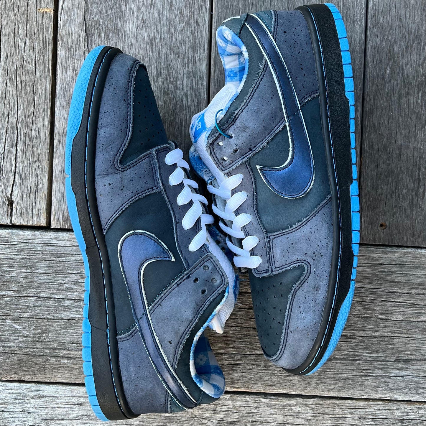 Nike SB Dunk Low Blue Lobster Size 10.5