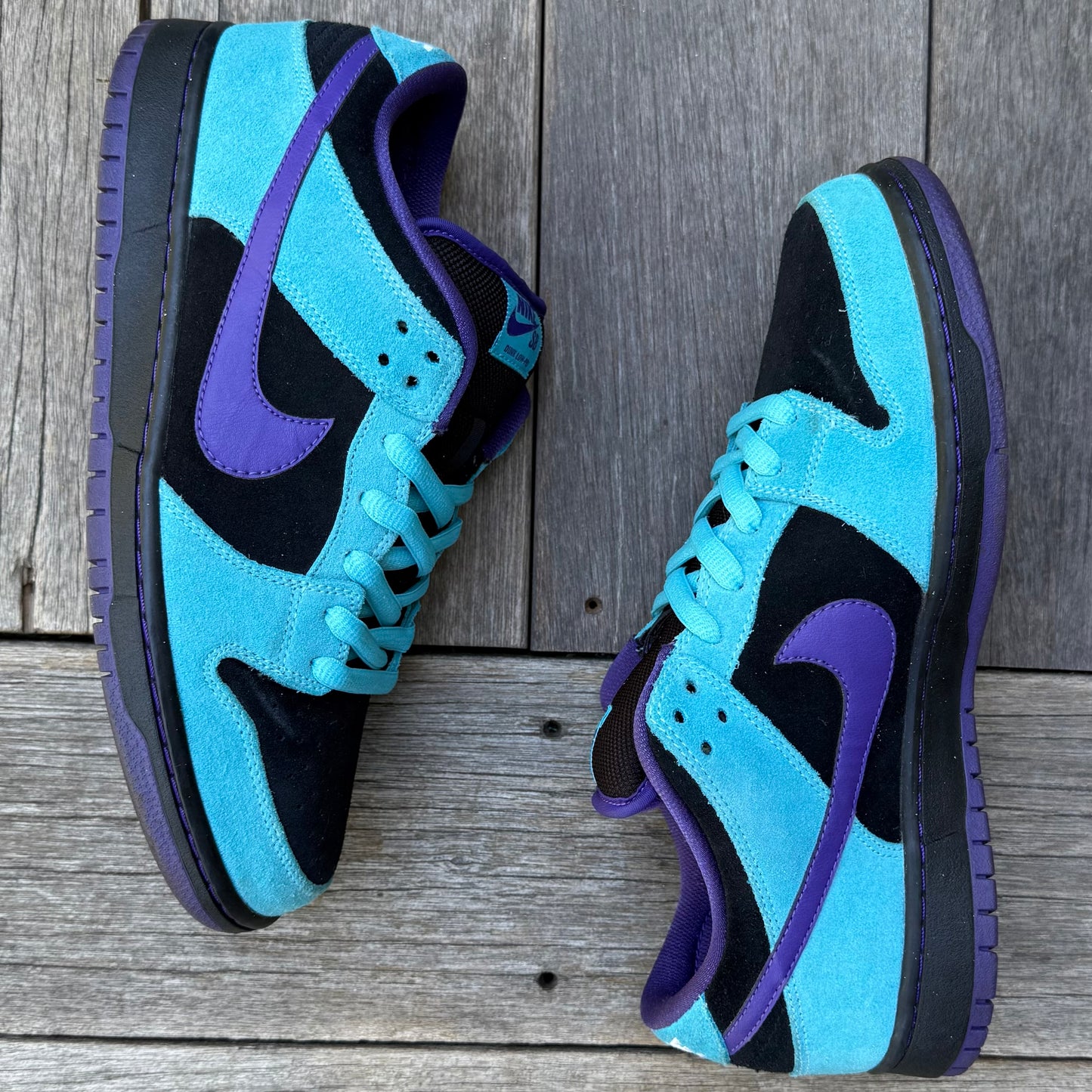 Nike SB Dunk Low Skeletor Size 9.5