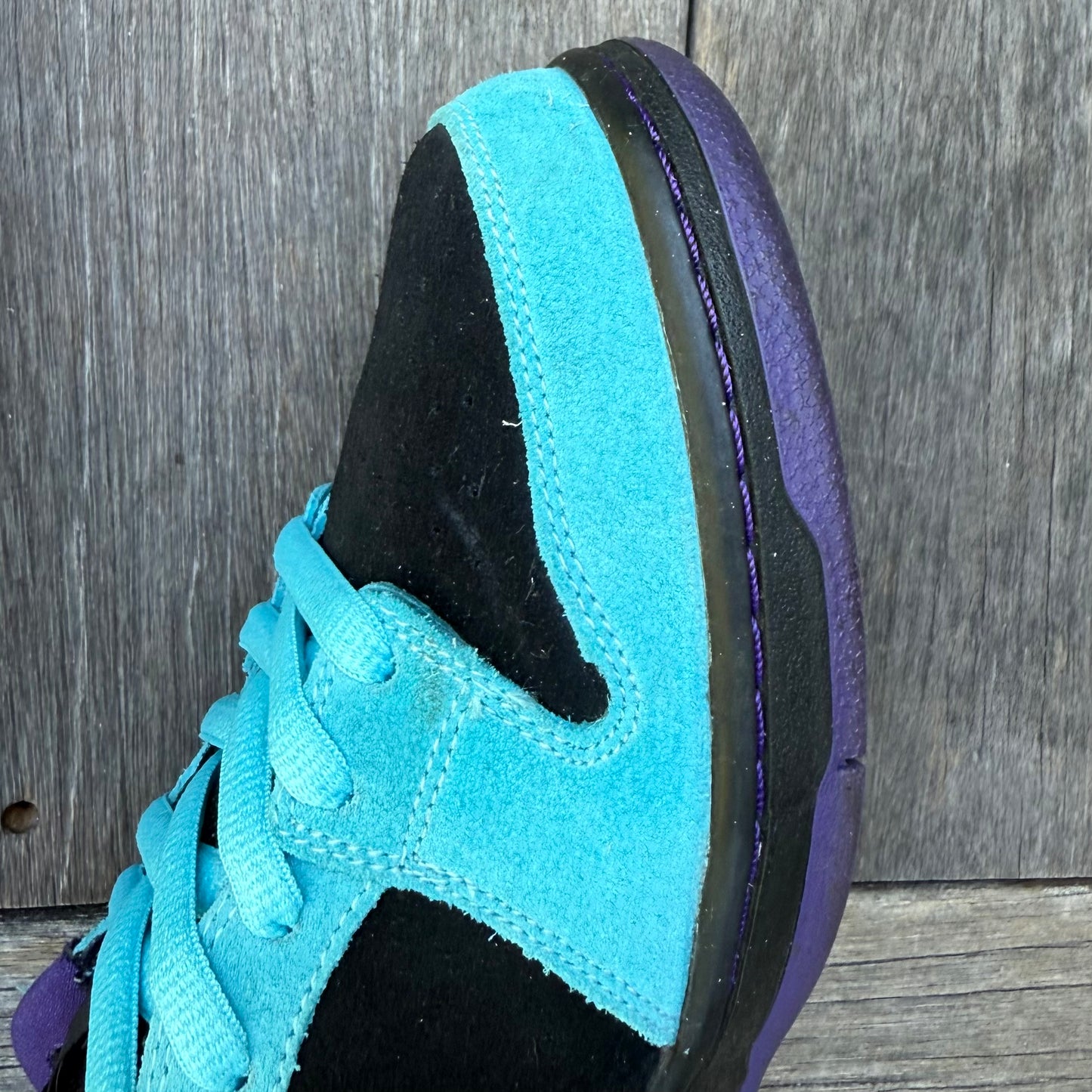 Nike SB Dunk Low Skeletor Size 9.5