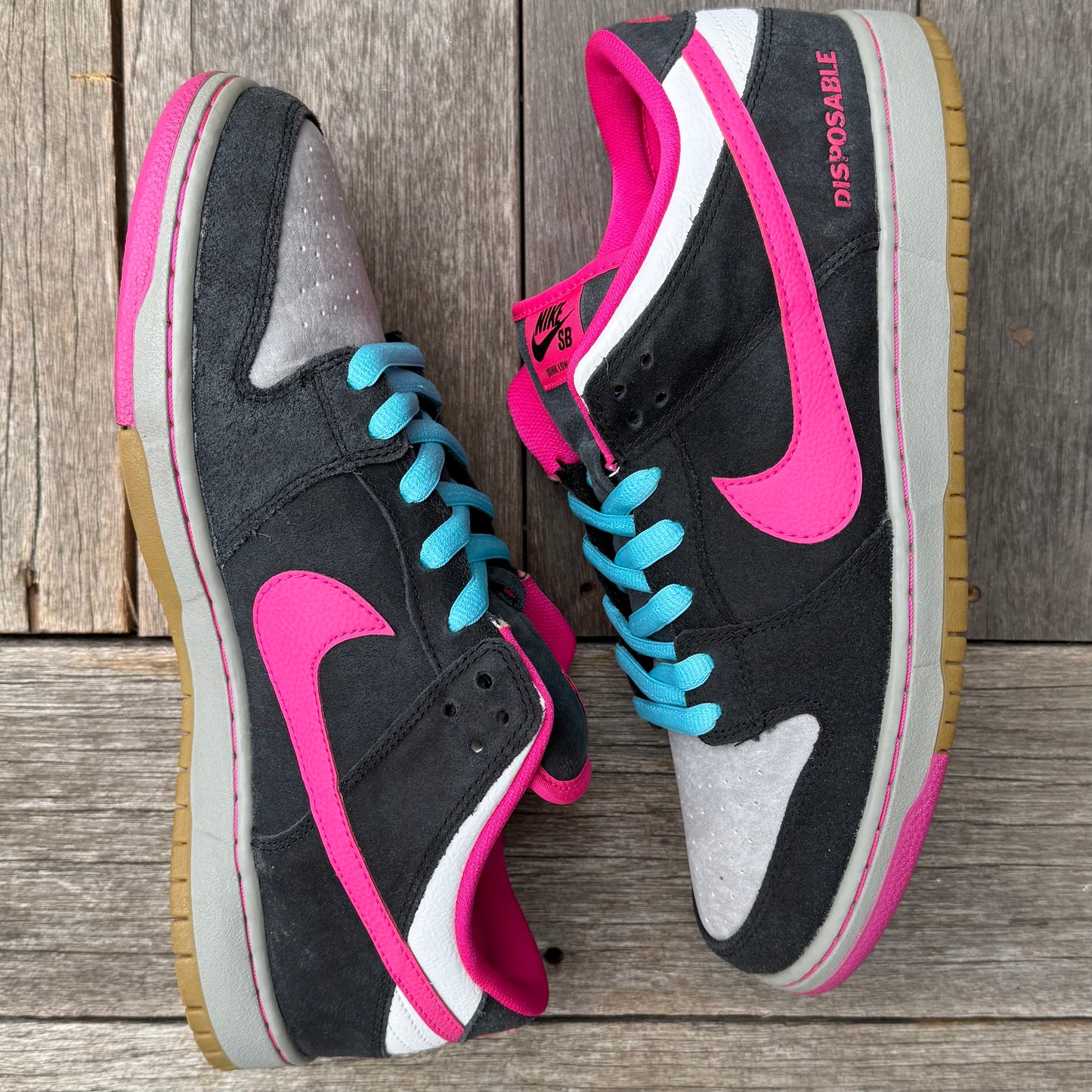 Nike SB Dunk Low Disposable Size 12
