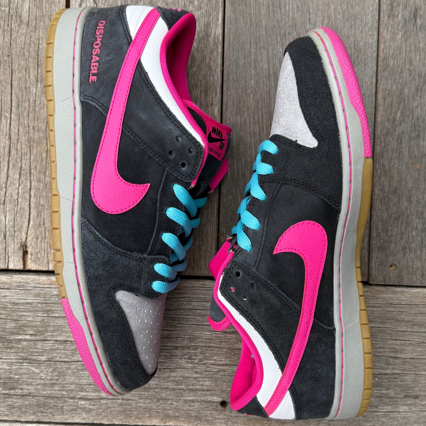Nike SB Dunk Low Disposable Size 12