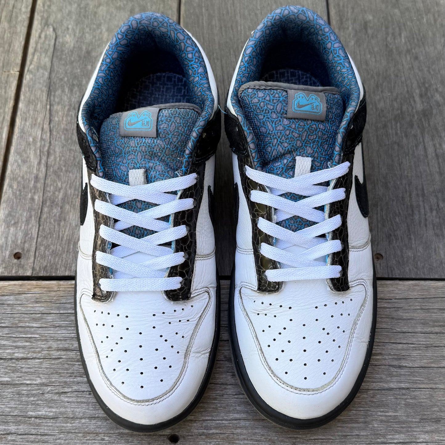 Nike Dunk Low 6.0 Cyan Light Charcoal Size 10
