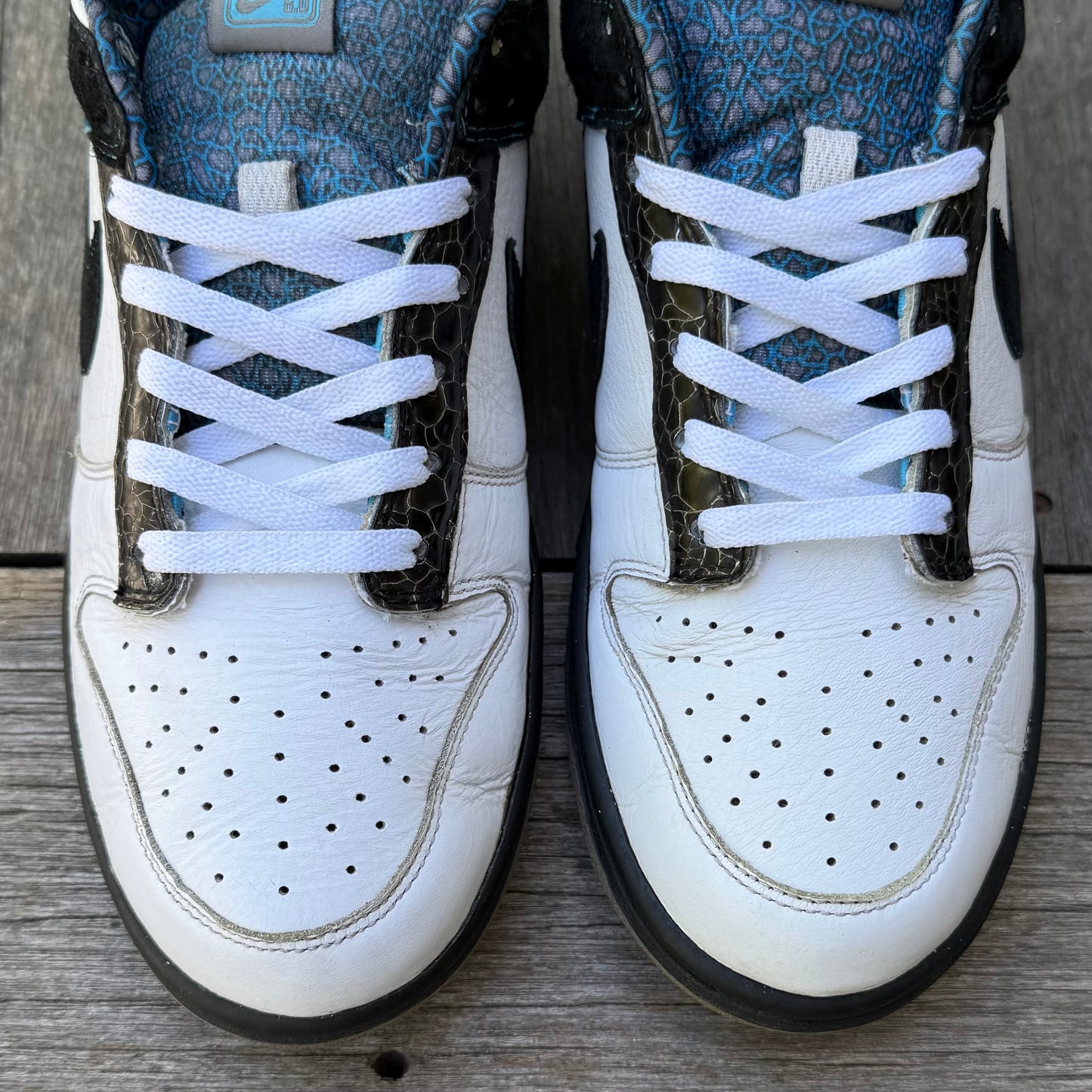Nike Dunk Low 6.0 Cyan Light Charcoal Size 10