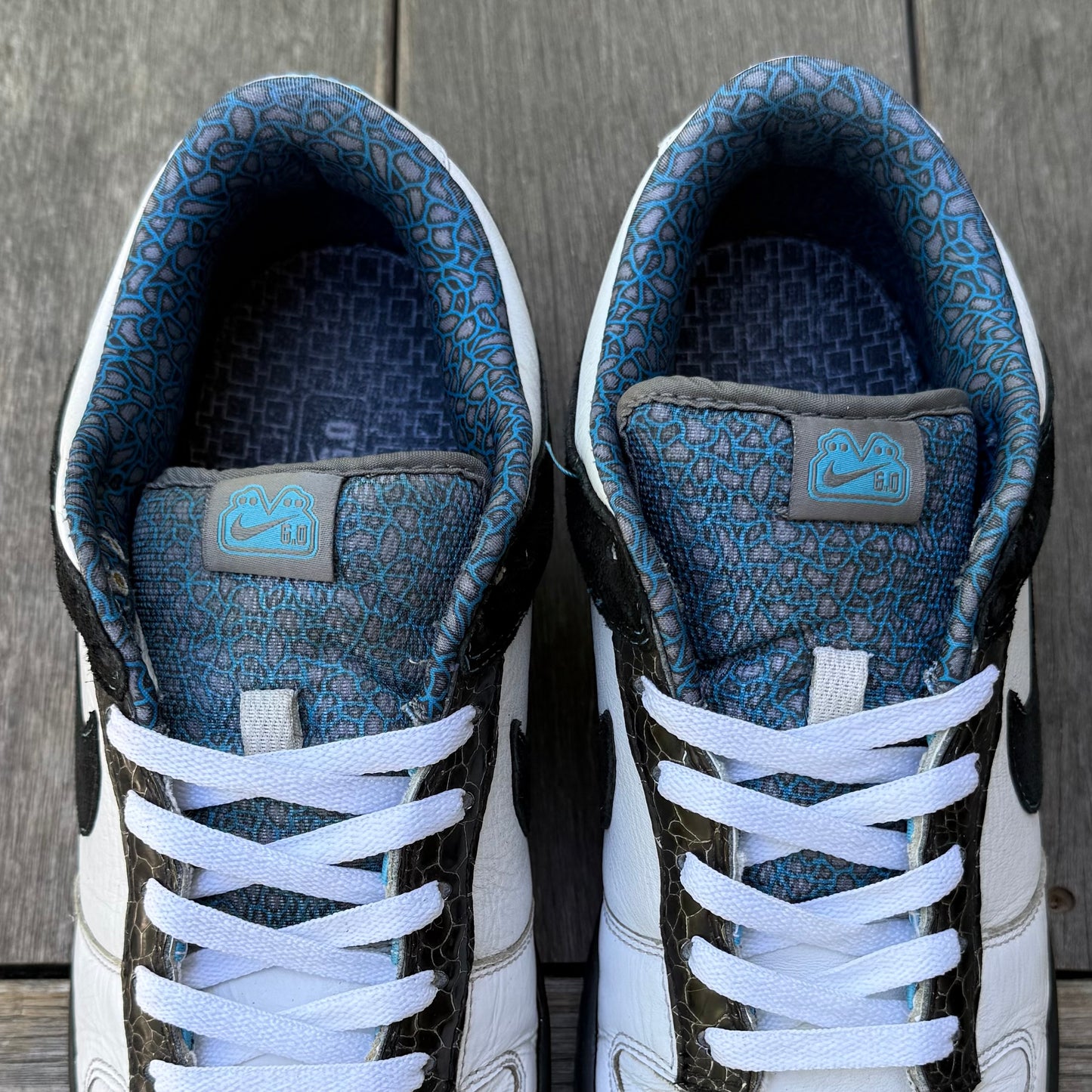 Nike Dunk Low 6.0 Cyan Light Charcoal Size 10