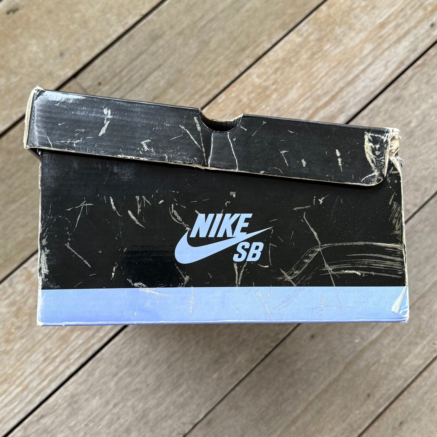 Nike SB Dunk Low Purple Pigeon Size 11