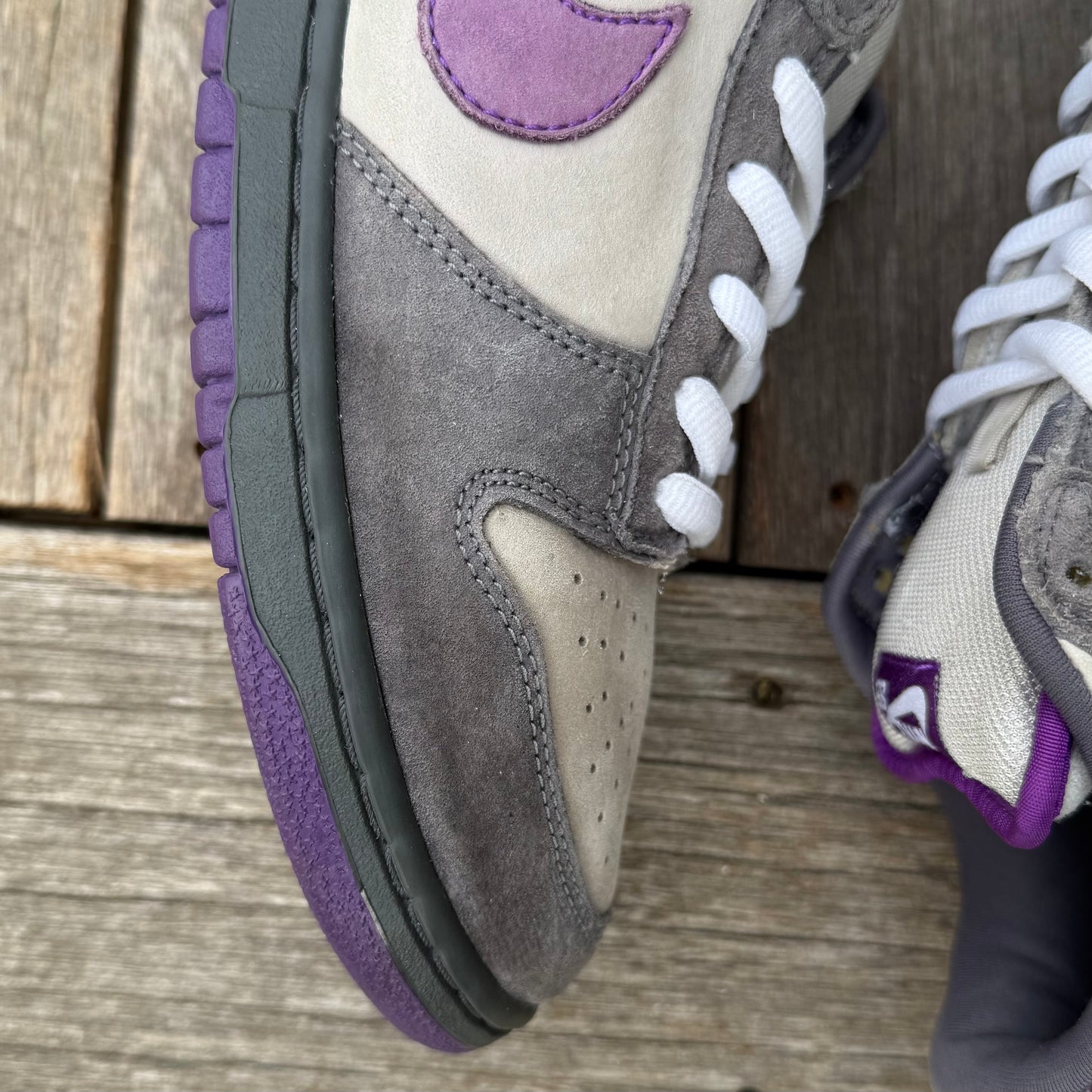 Nike SB Dunk Low Purple Pigeon Size 11