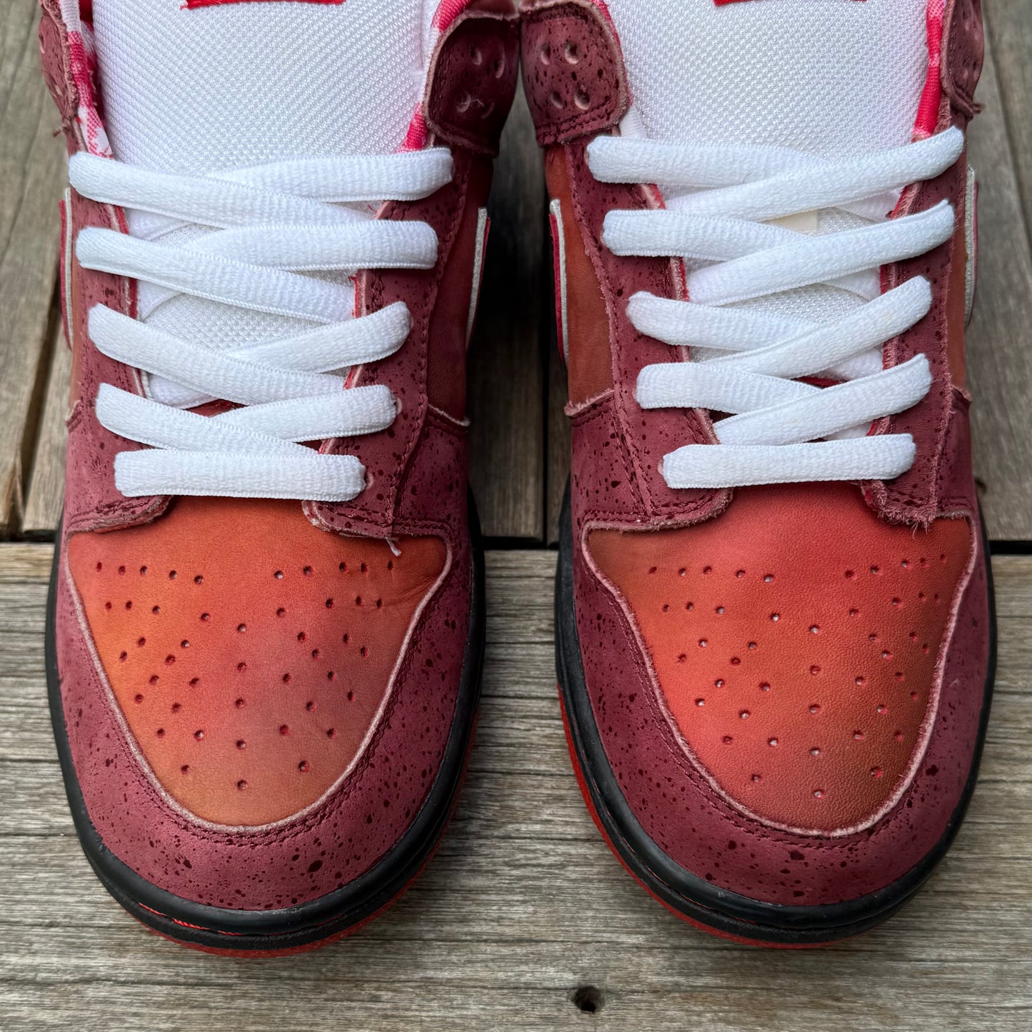 Nike SB Dunk Low Red Lobster Size 10