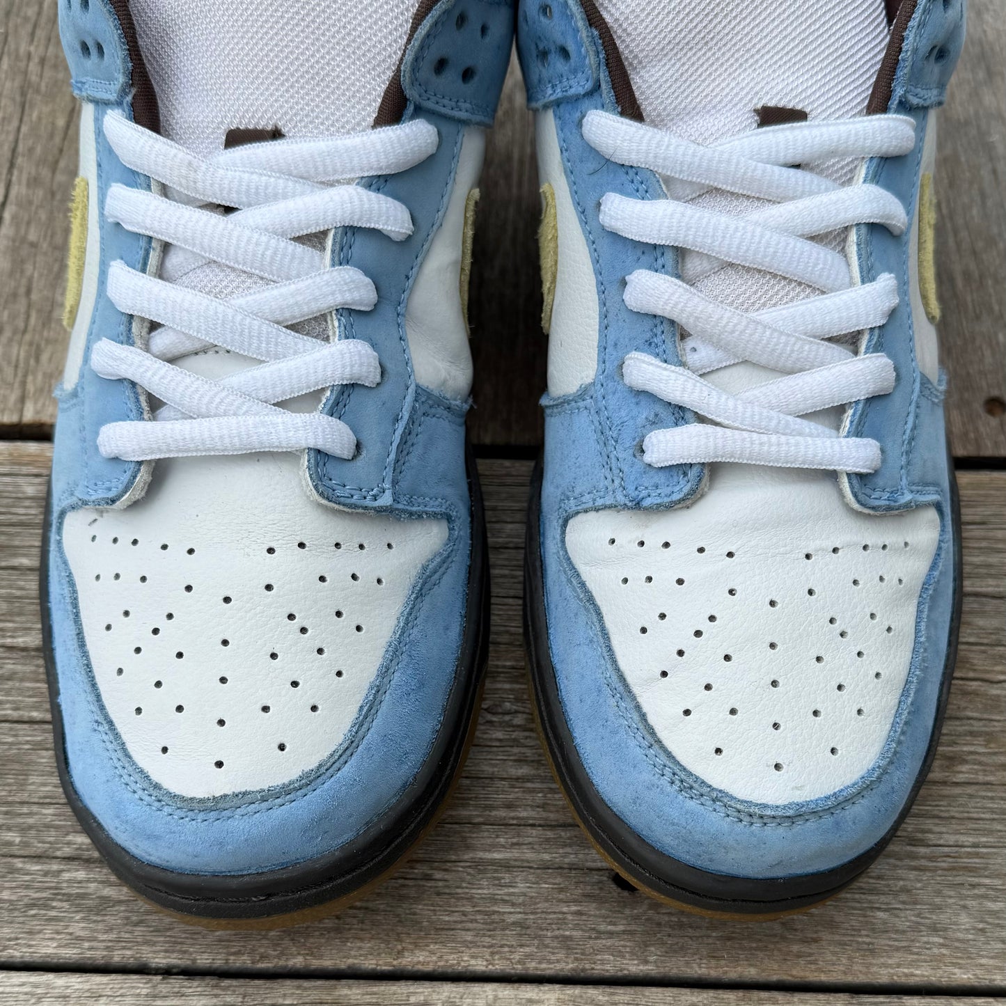 Nike SB Dunk Low Homer Size 11