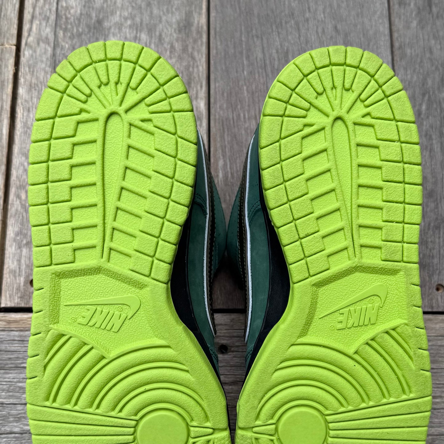 Nike SB Dunk Low Green Lobster (Special Box) Size 10