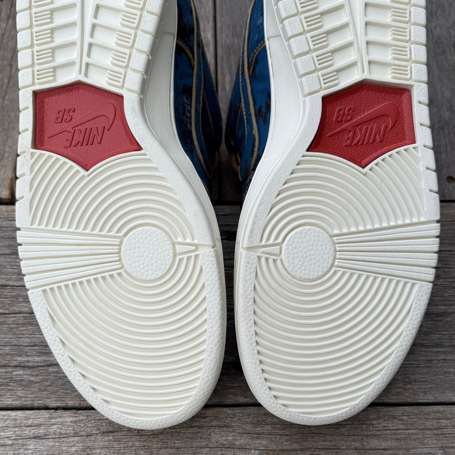 Nike SB Dunk Low City of Style SAMPLE Size 9