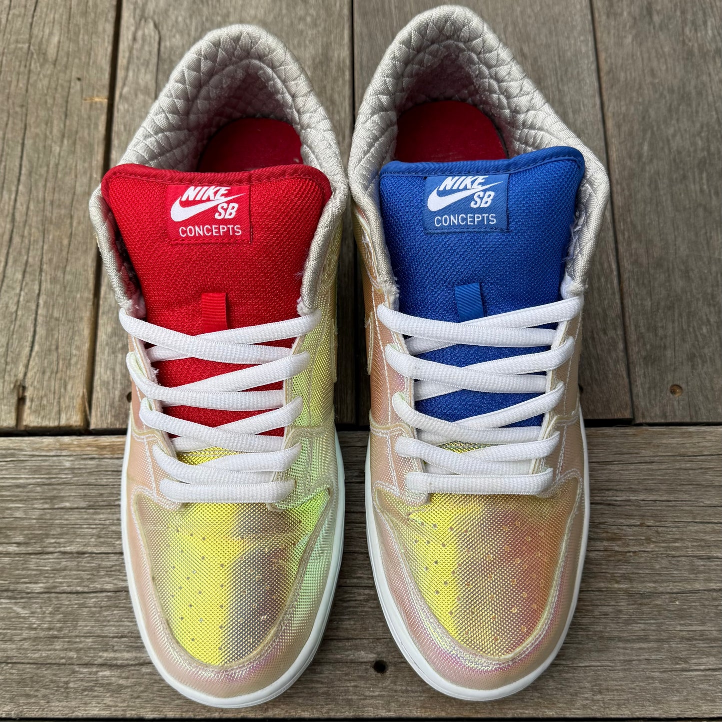 Nike SB Dunk Low Holy Grail CNCPTS Size 11