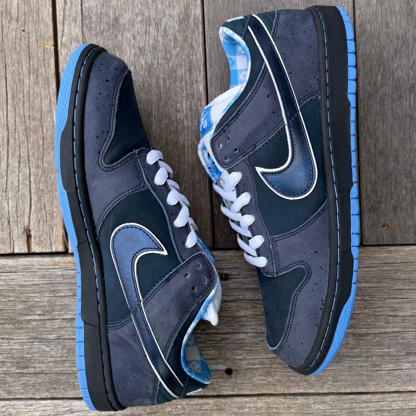 Nike SB Dunk Low Blue Lobster Size 11