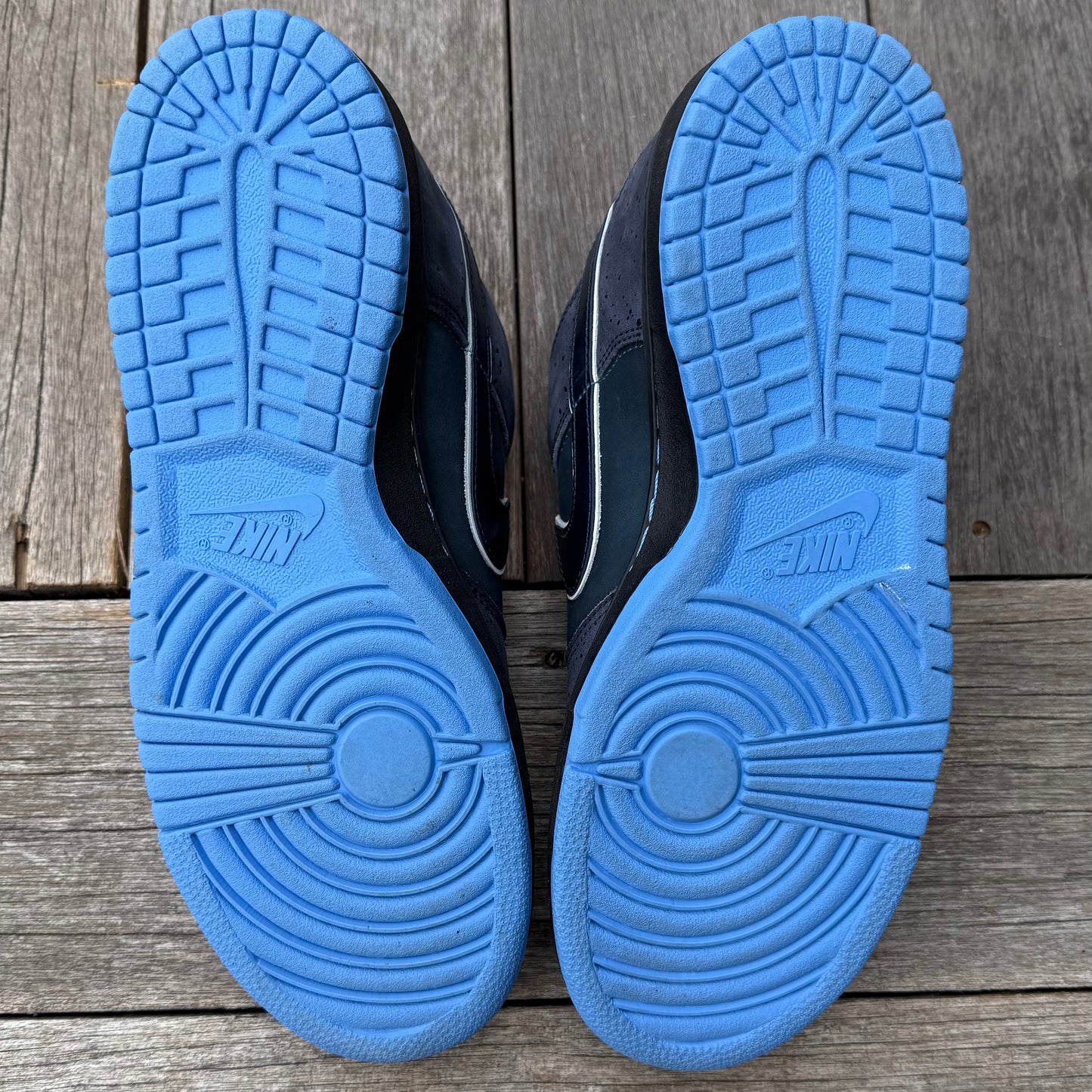 Nike SB Dunk Low Blue Lobster Size 11