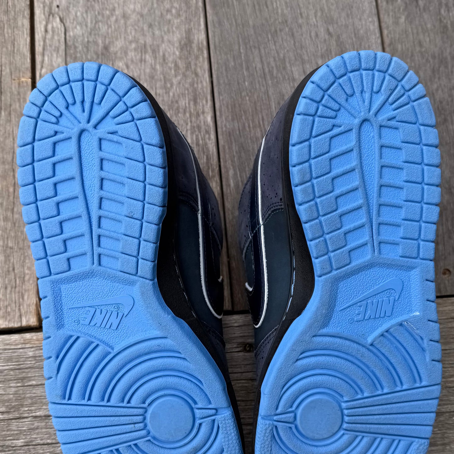 Nike SB Dunk Low Blue Lobster Size 11