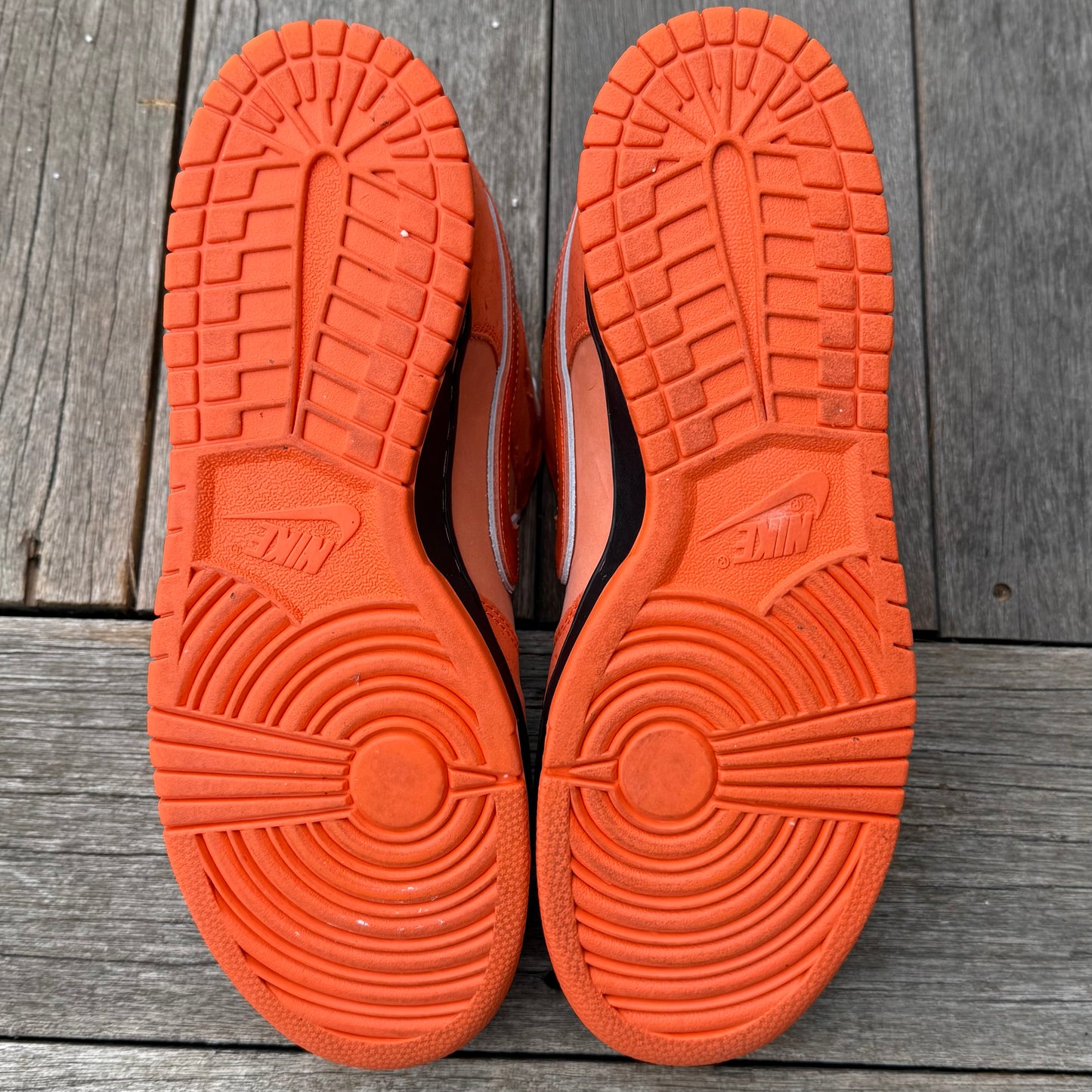 Nike SB Dunk Low Orange Lobster Size 10.5