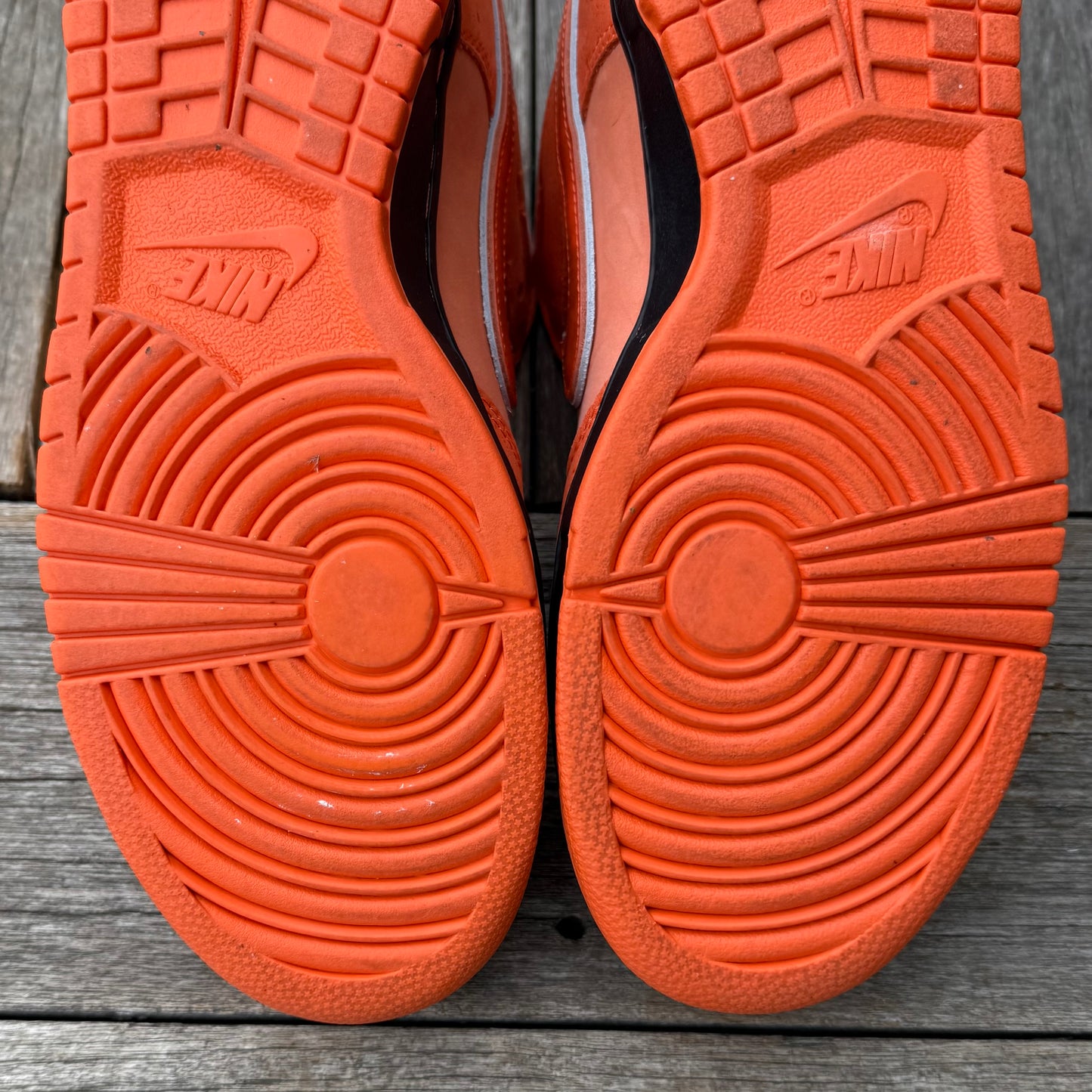 Nike SB Dunk Low Orange Lobster Size 10.5
