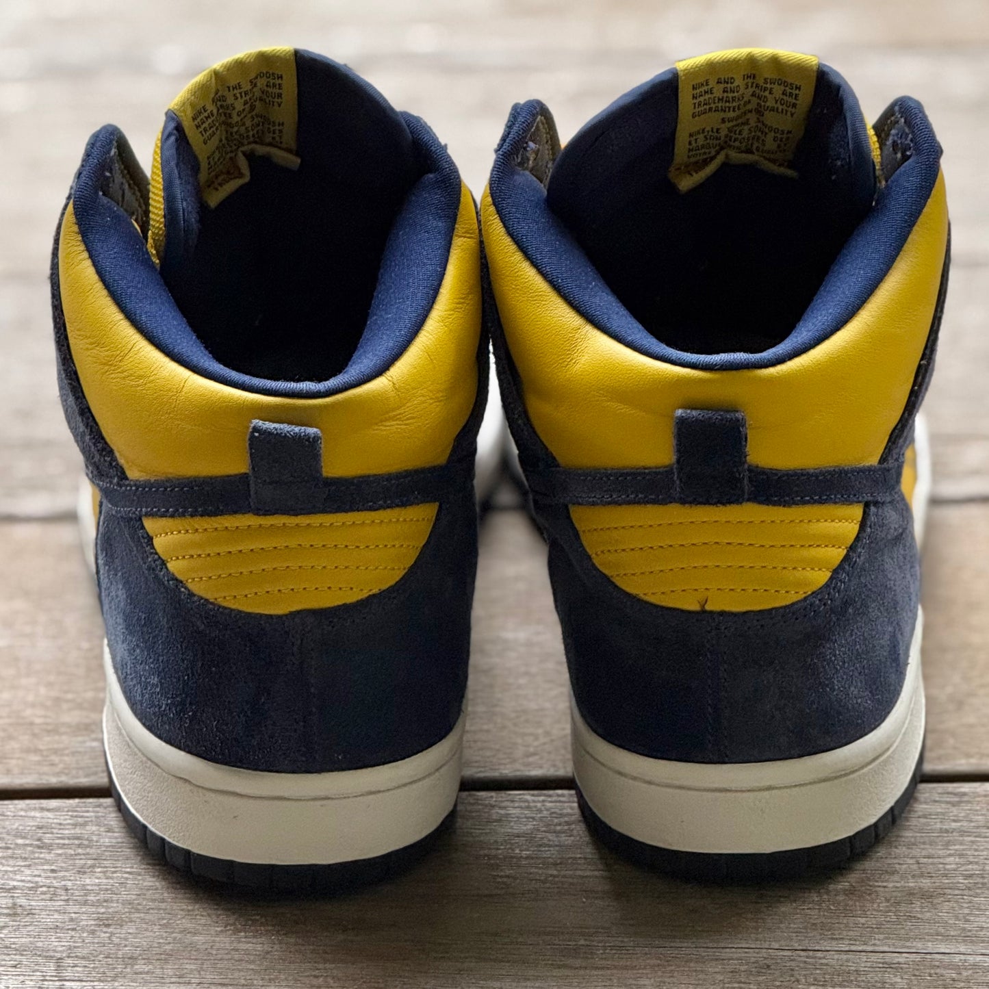 Nike SB Dunk High Michigan BTTYS Size 11