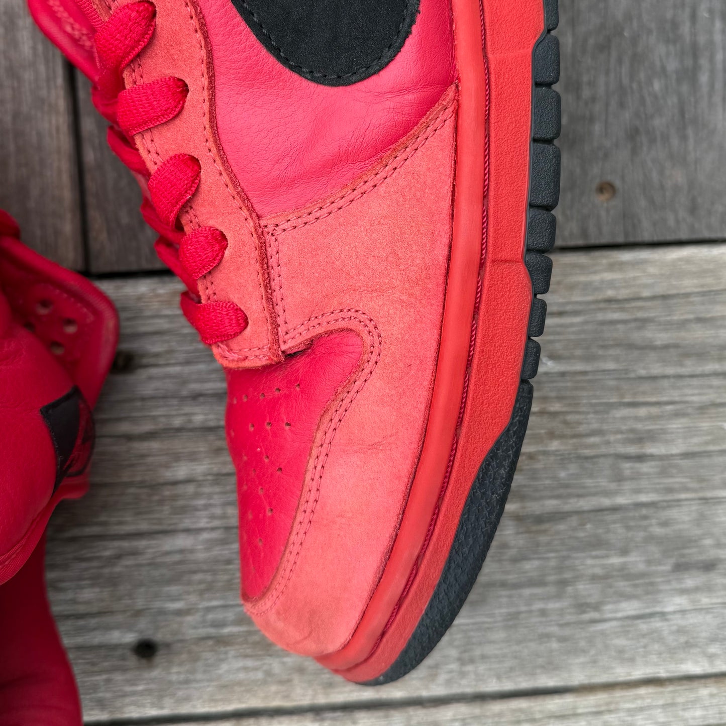 Nike SB Dunk Low True Red/Pure Blood Size 11