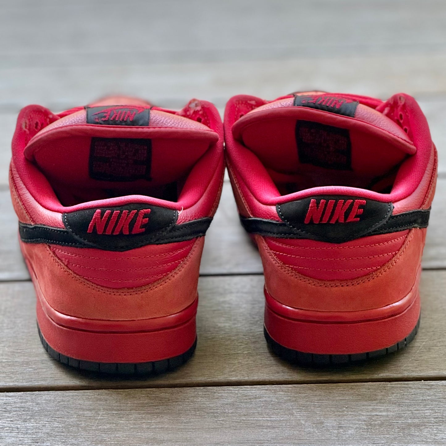 Nike SB Dunk Low True Red Size 11