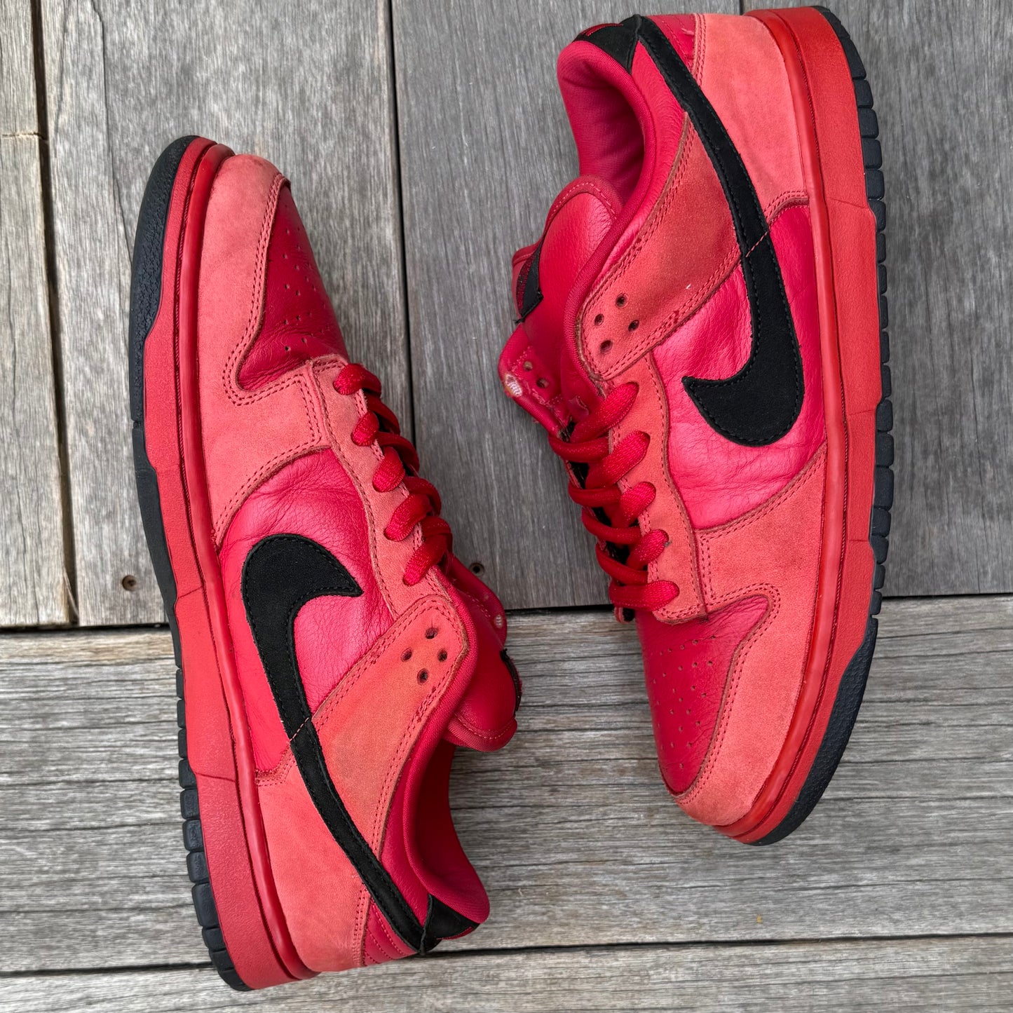 Nike SB Dunk Low True Red Size 11