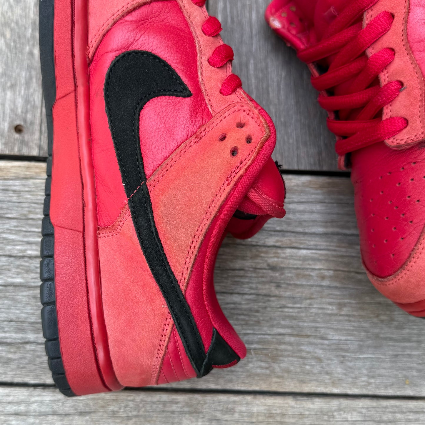 Nike SB Dunk Low True Red Size 11