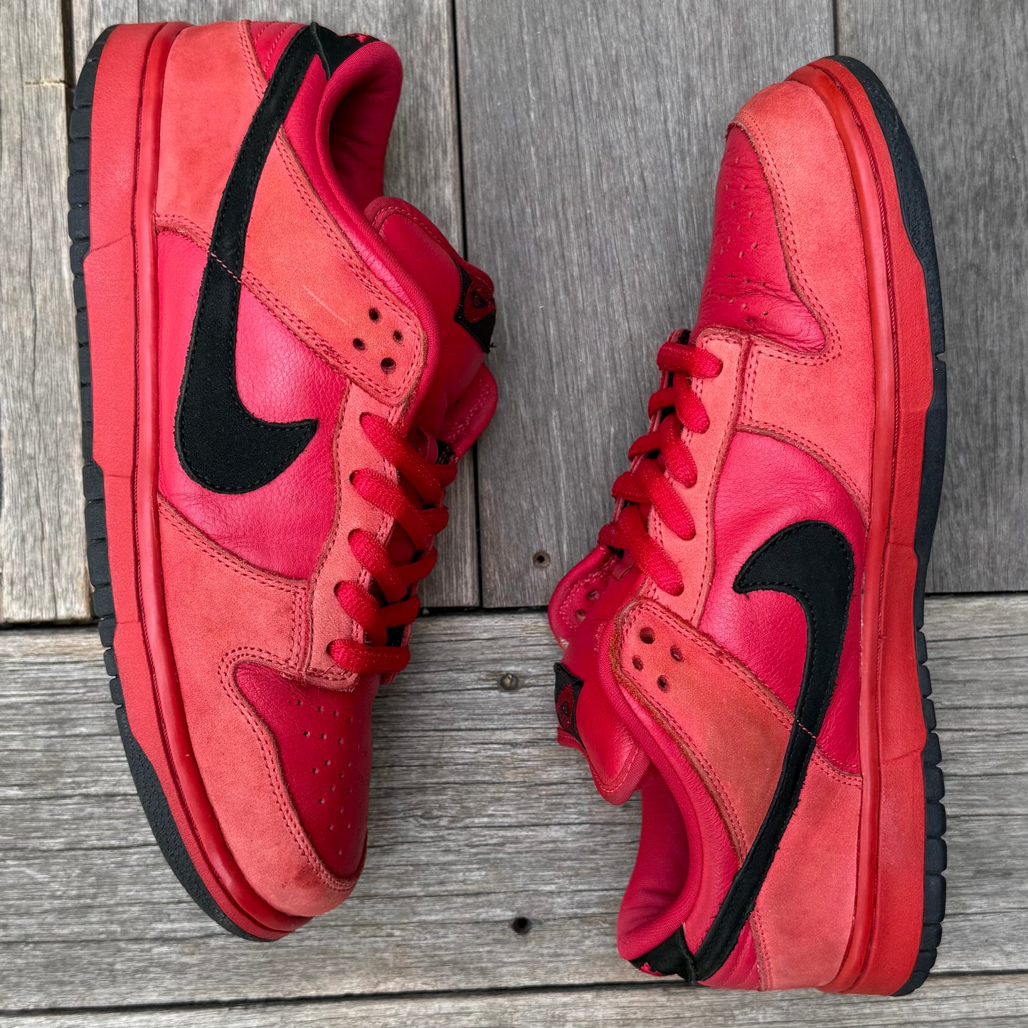 Nike SB Dunk Low True Red Size 11