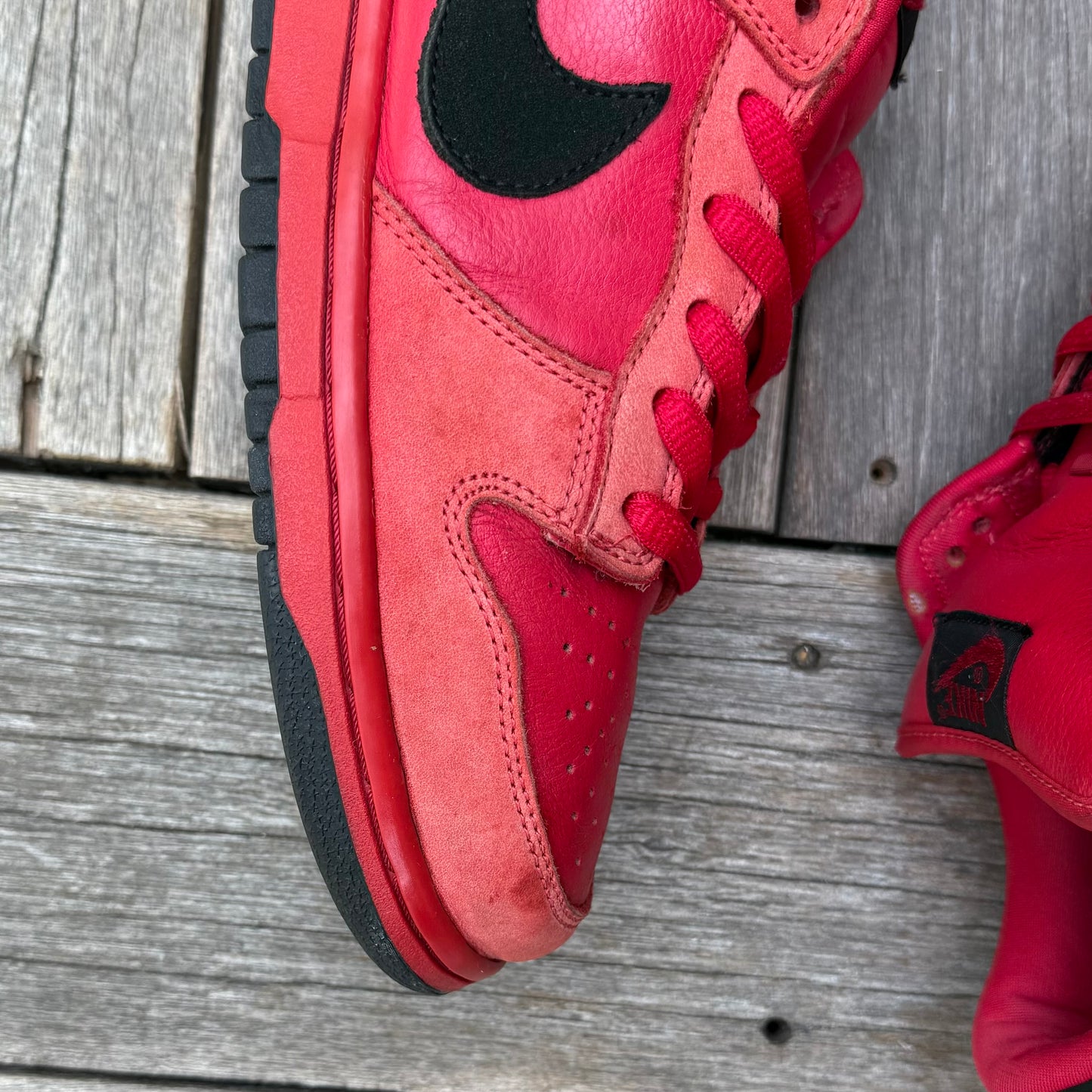 Nike SB Dunk Low True Red Size 11