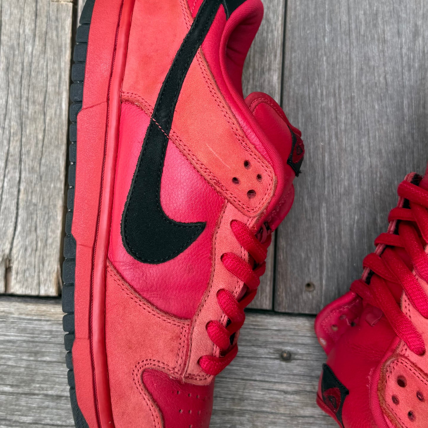 Nike SB Dunk Low True Red Size 11