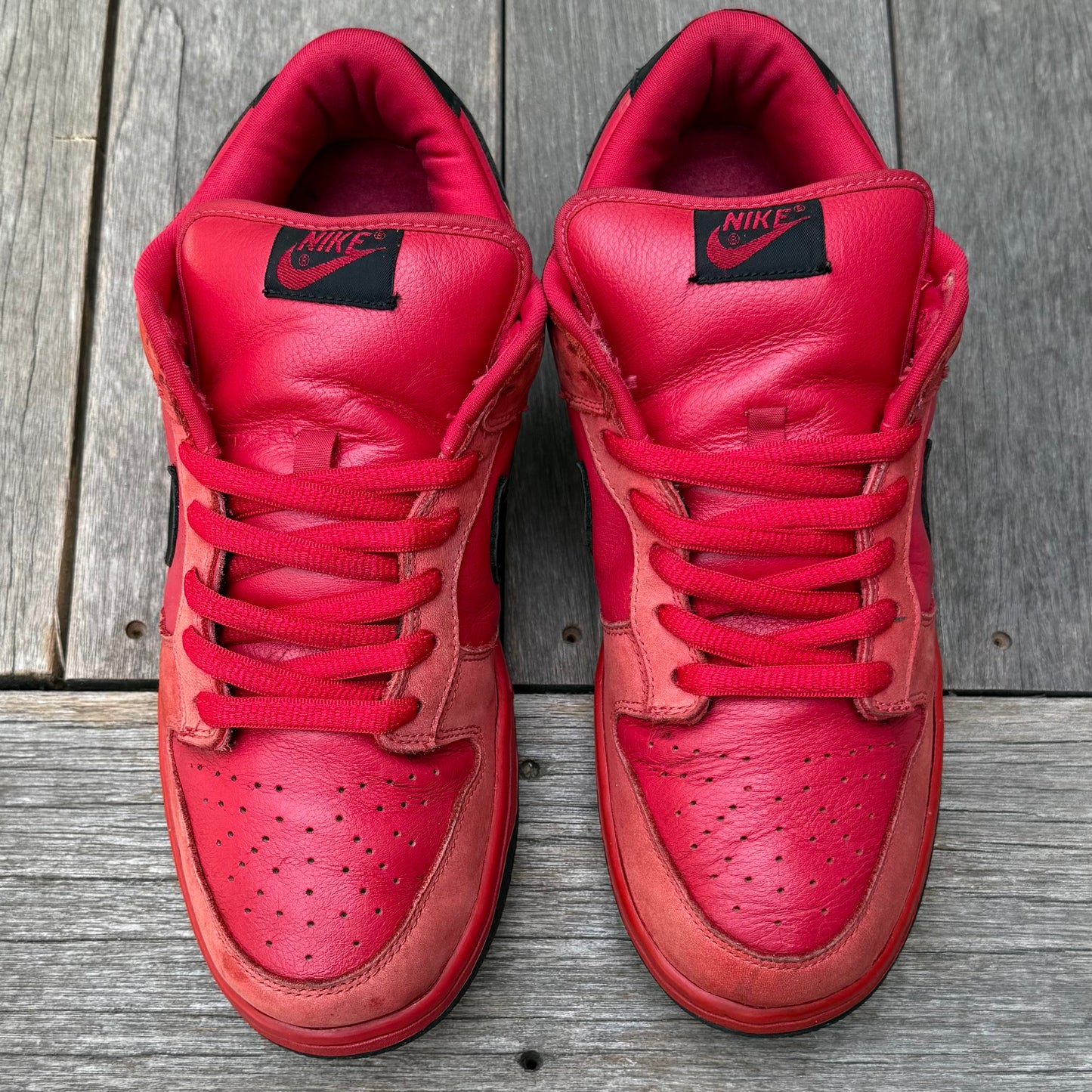 Nike SB Dunk Low True Red Size 11