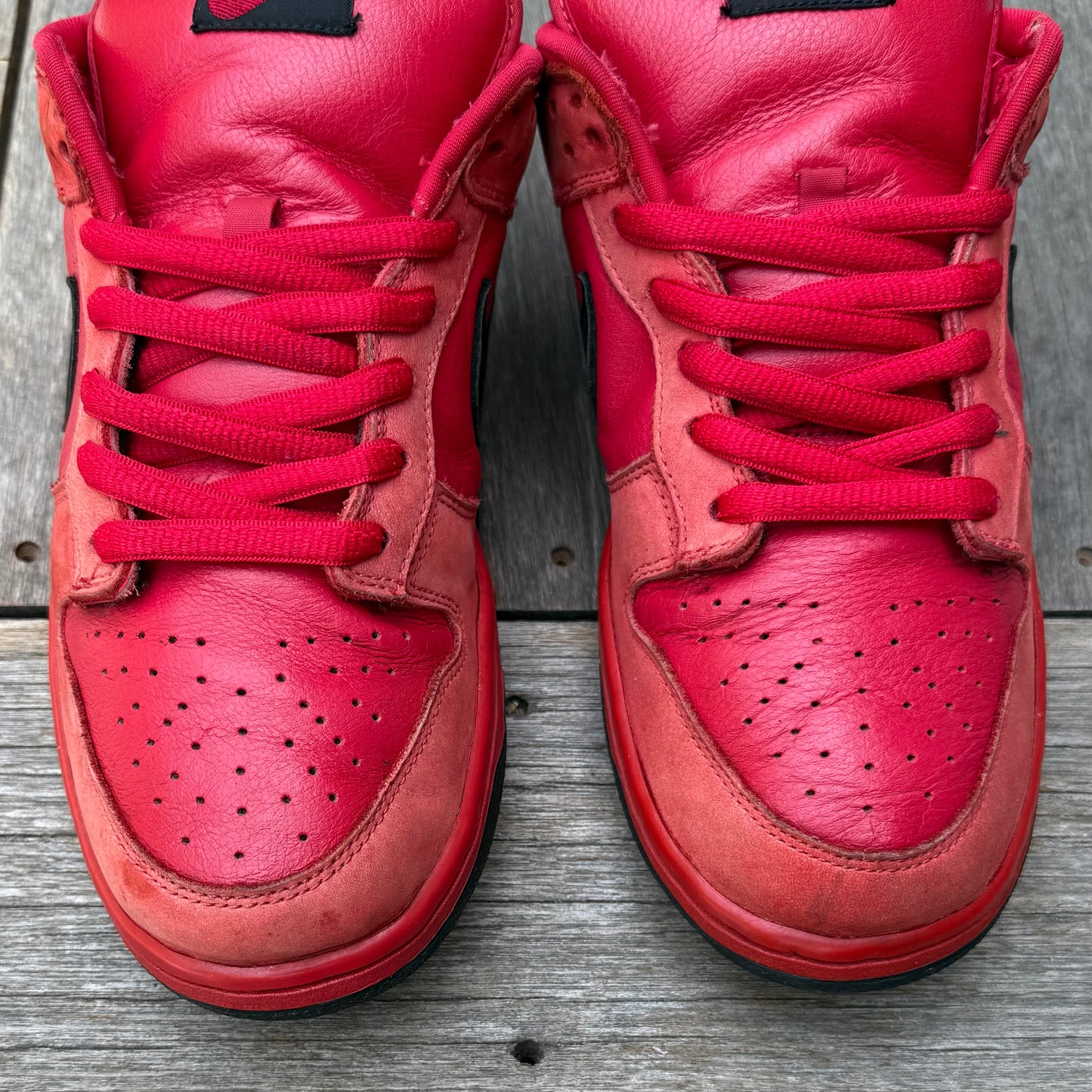 Nike SB Dunk Low True Red Size 11
