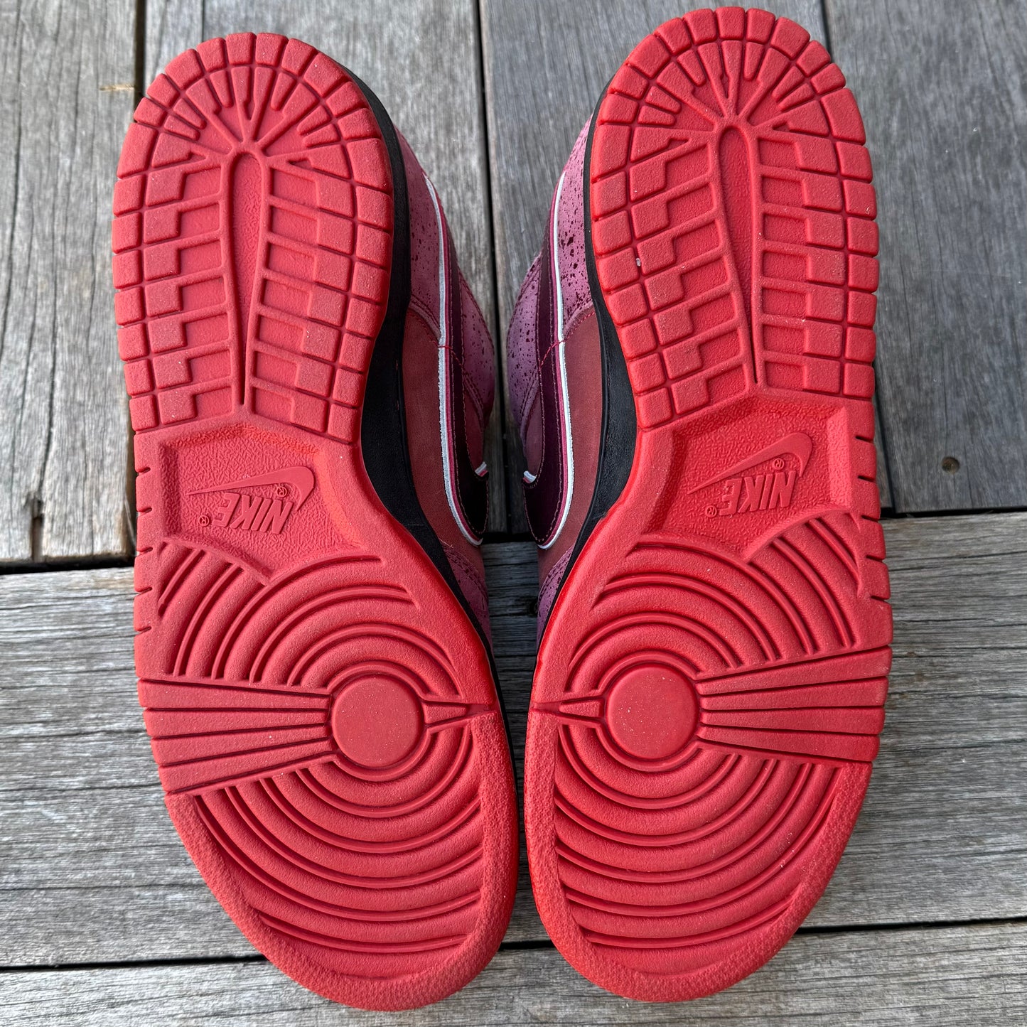 Nike SB Dunk Low Red Lobster Size 10.5