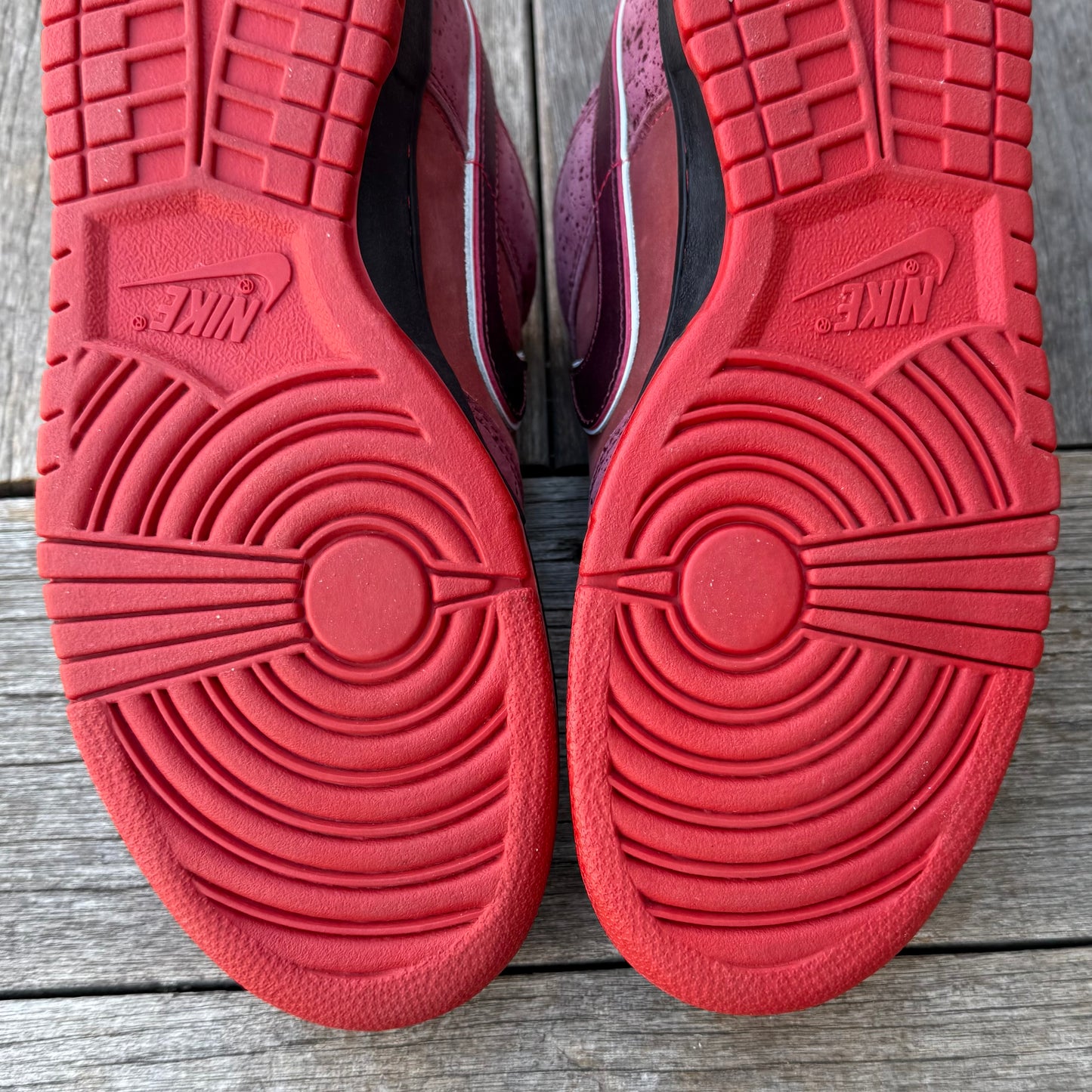 Nike SB Dunk Low Red Lobster Size 10.5