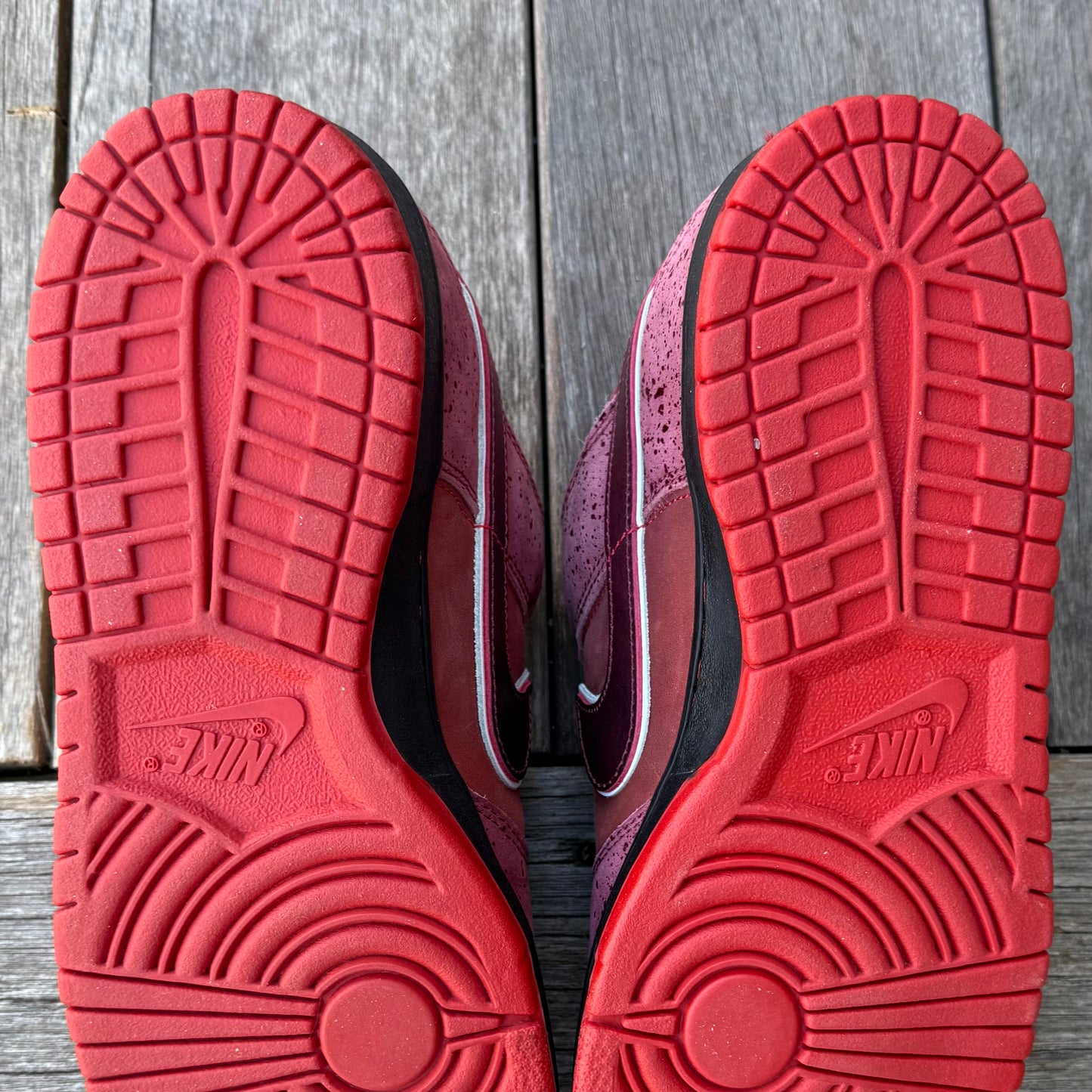 Nike SB Dunk Low Red Lobster Size 10.5