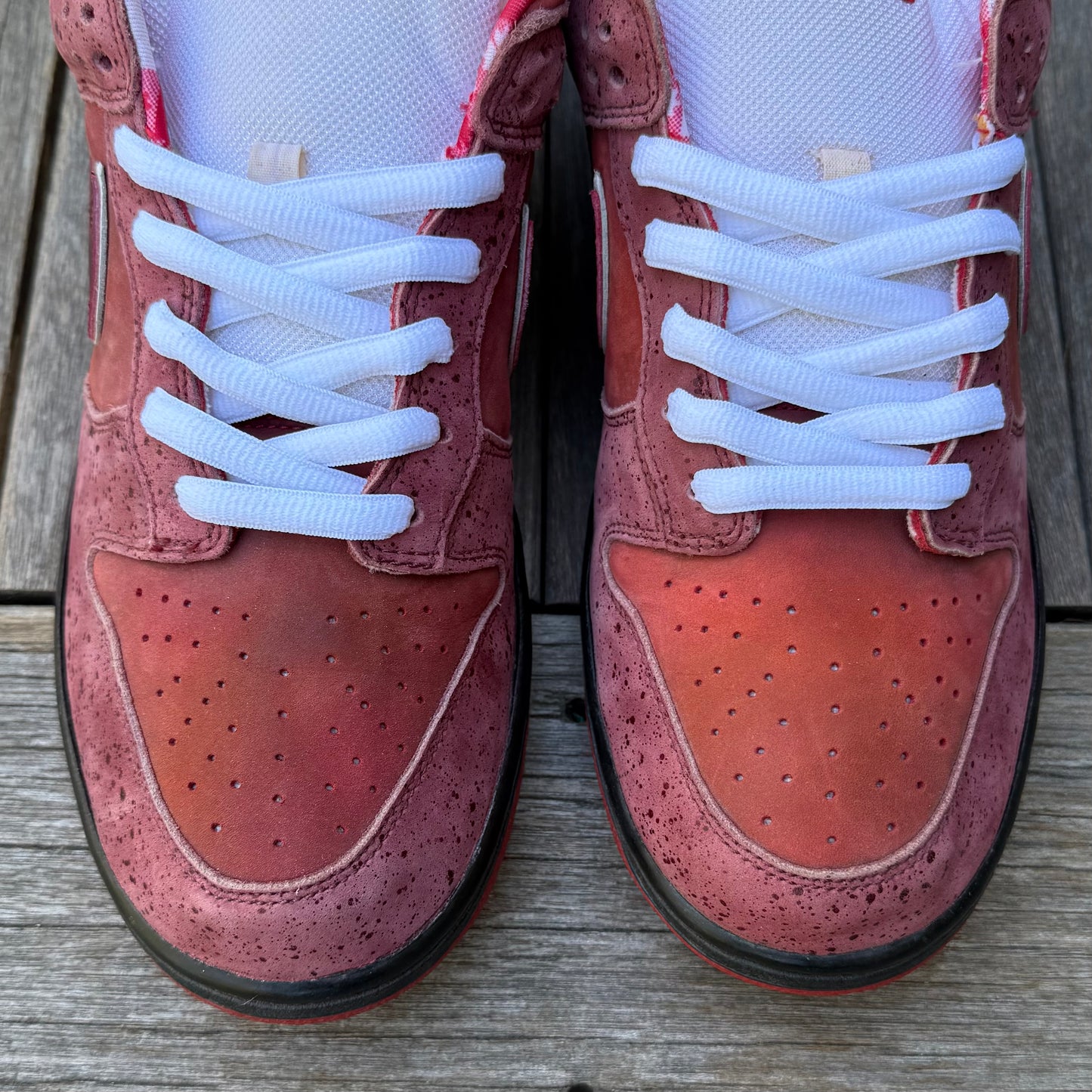 Nike SB Dunk Low Red Lobster Size 12
