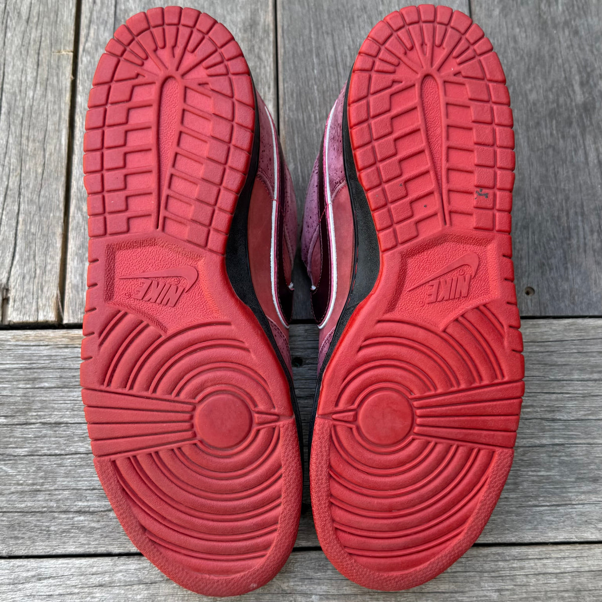 Nike SB Dunk Low Red Lobster Size 12