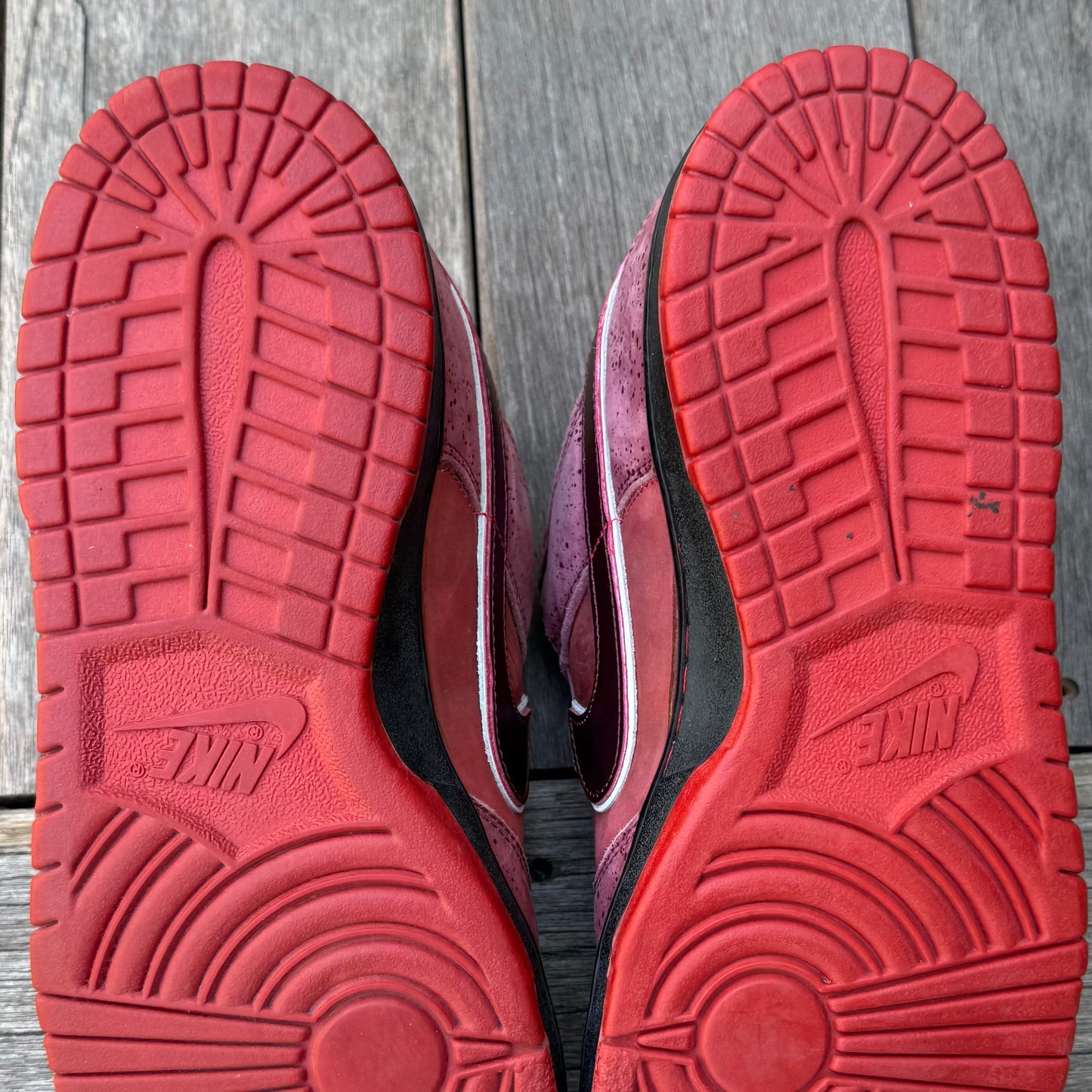 Nike SB Dunk Low Red Lobster Size 12