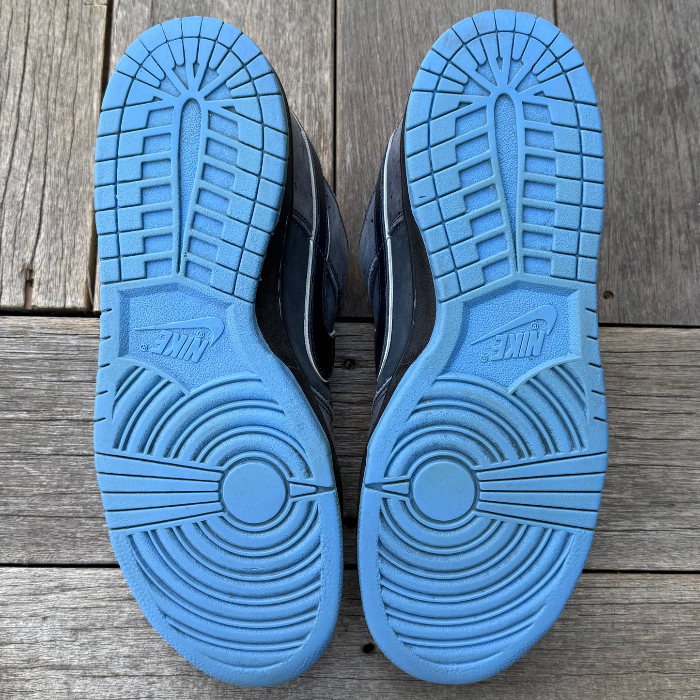 Nike SB Dunk Low Blue Lobster Size 13