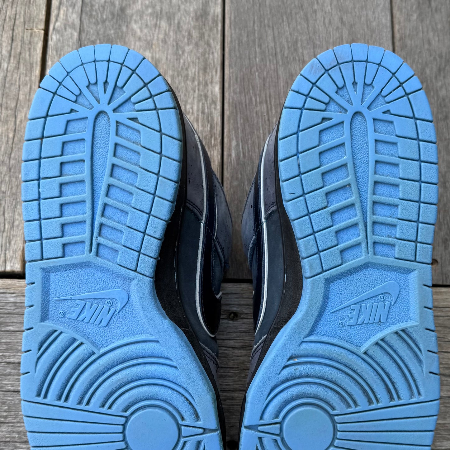 Nike SB Dunk Low Blue Lobster Size 13