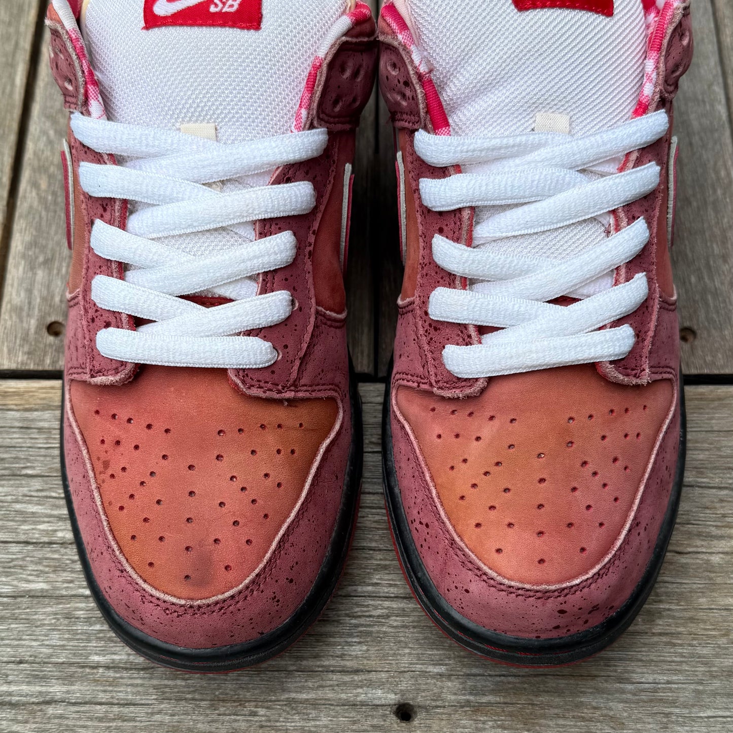 Nike SB Dunk Low Red Lobster Size 8