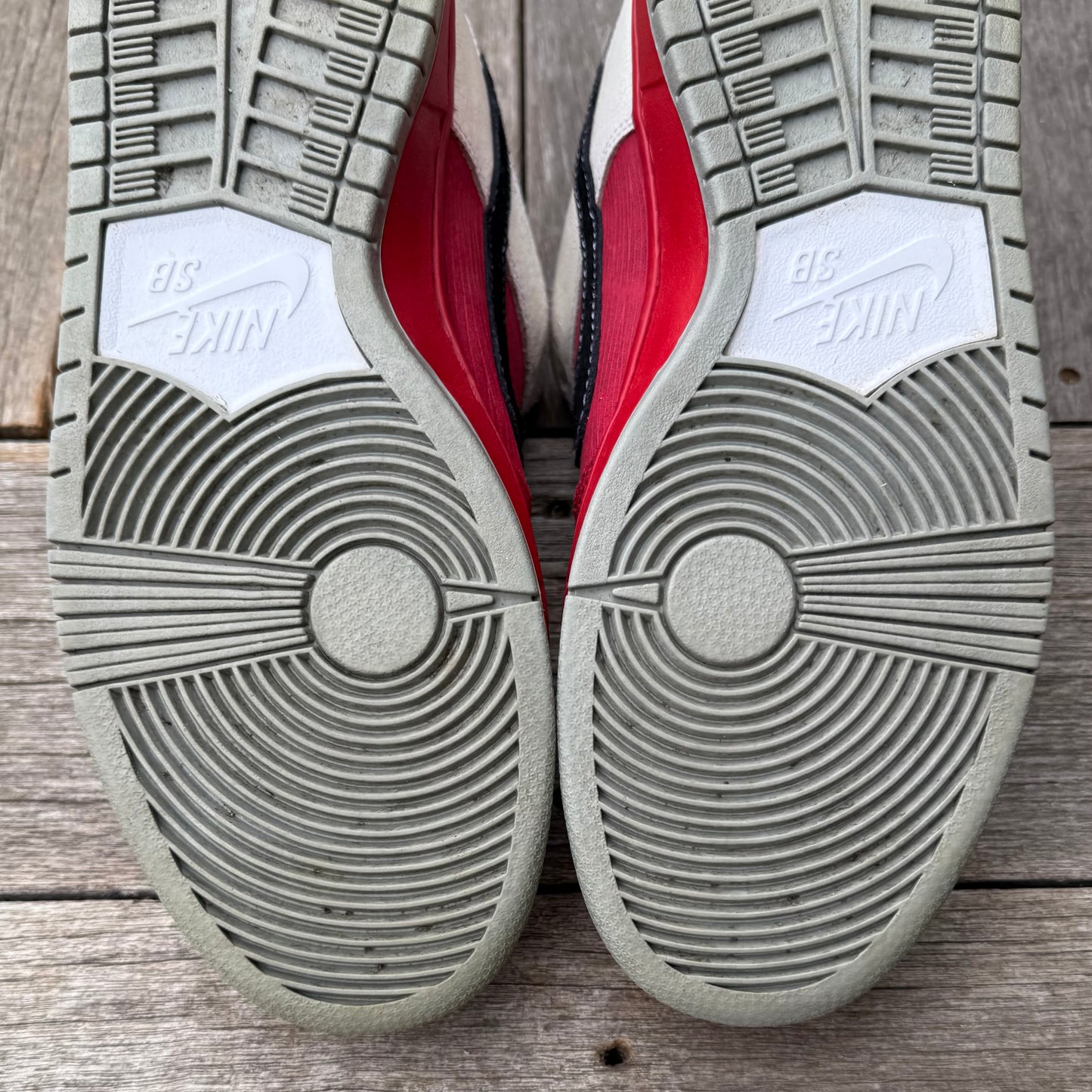 Nike SB Dunk Low Roller Derby Size 9