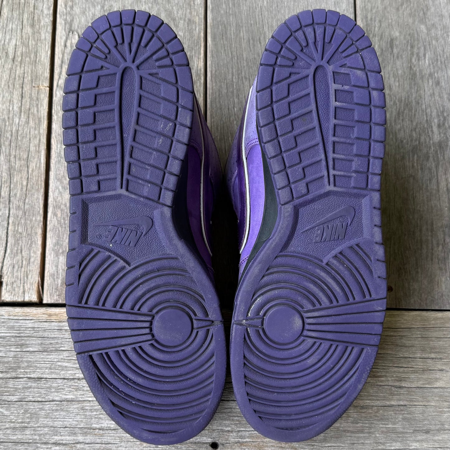 Nike SB Dunk Low Purple Lobster Size 13