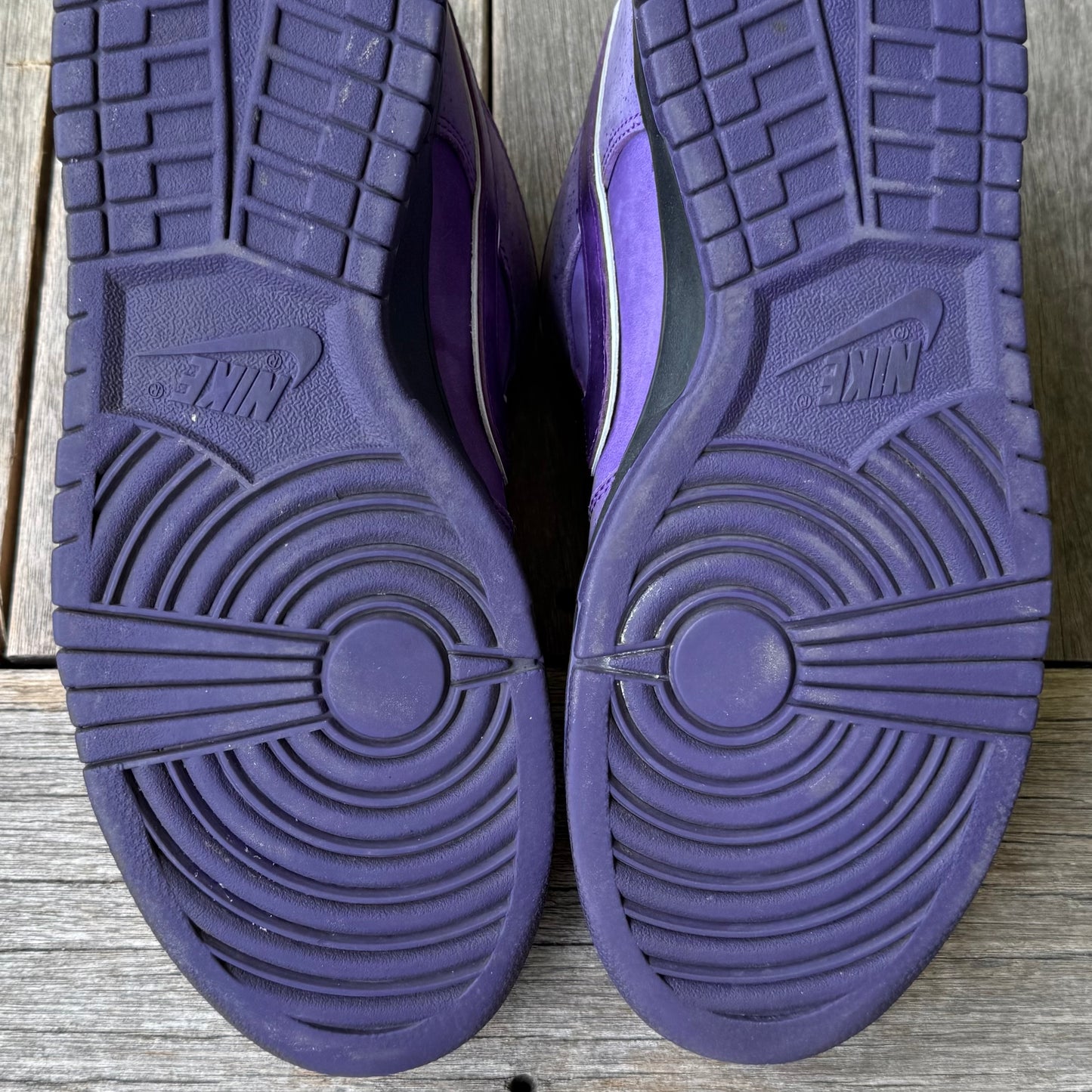 Nike SB Dunk Low Purple Lobster Size 13