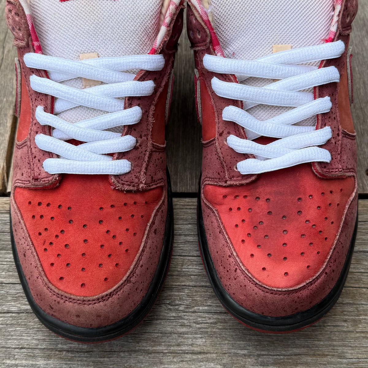 Nike SB Dunk Low Red Lobster Size 9