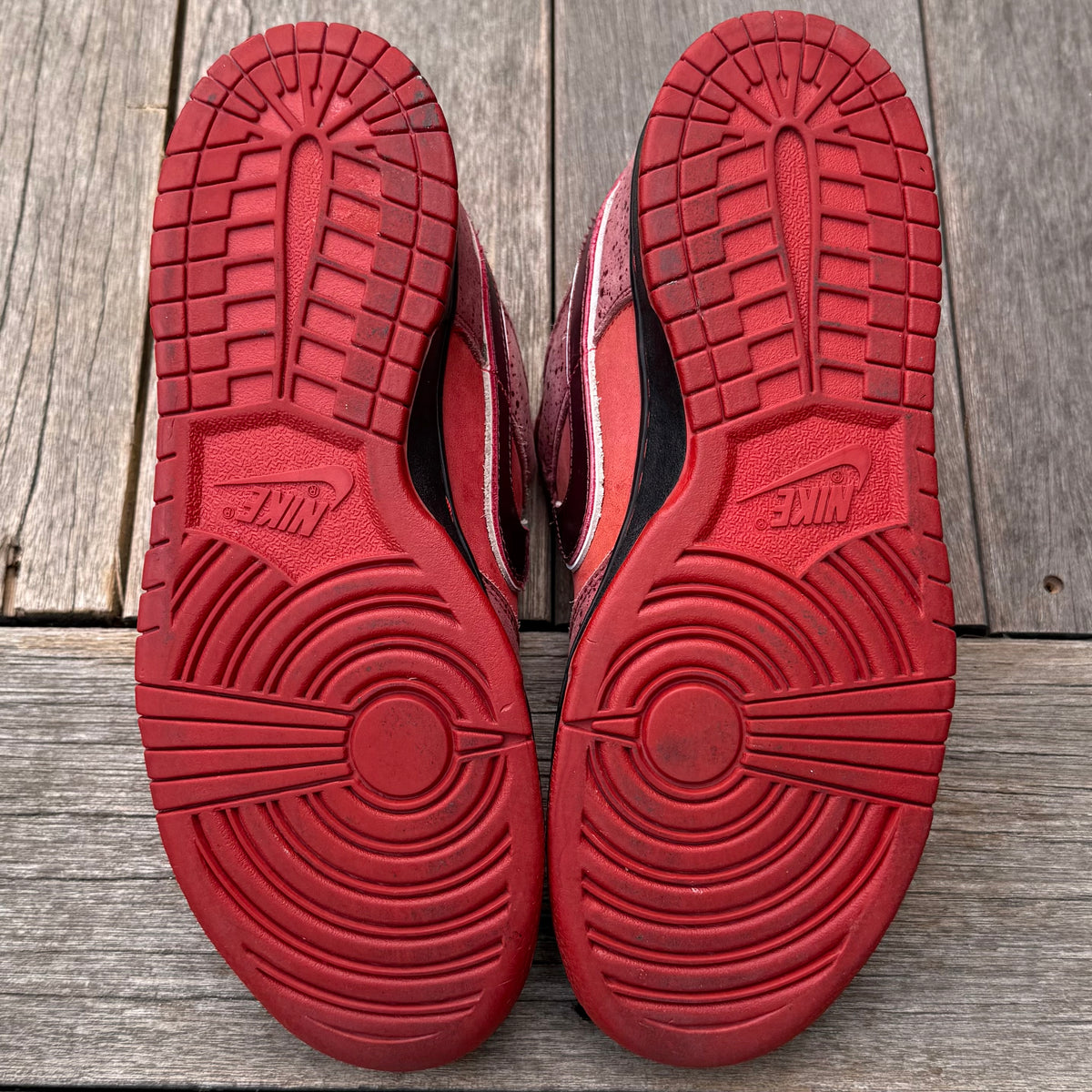 Nike SB Dunk Low Red Lobster Size 9