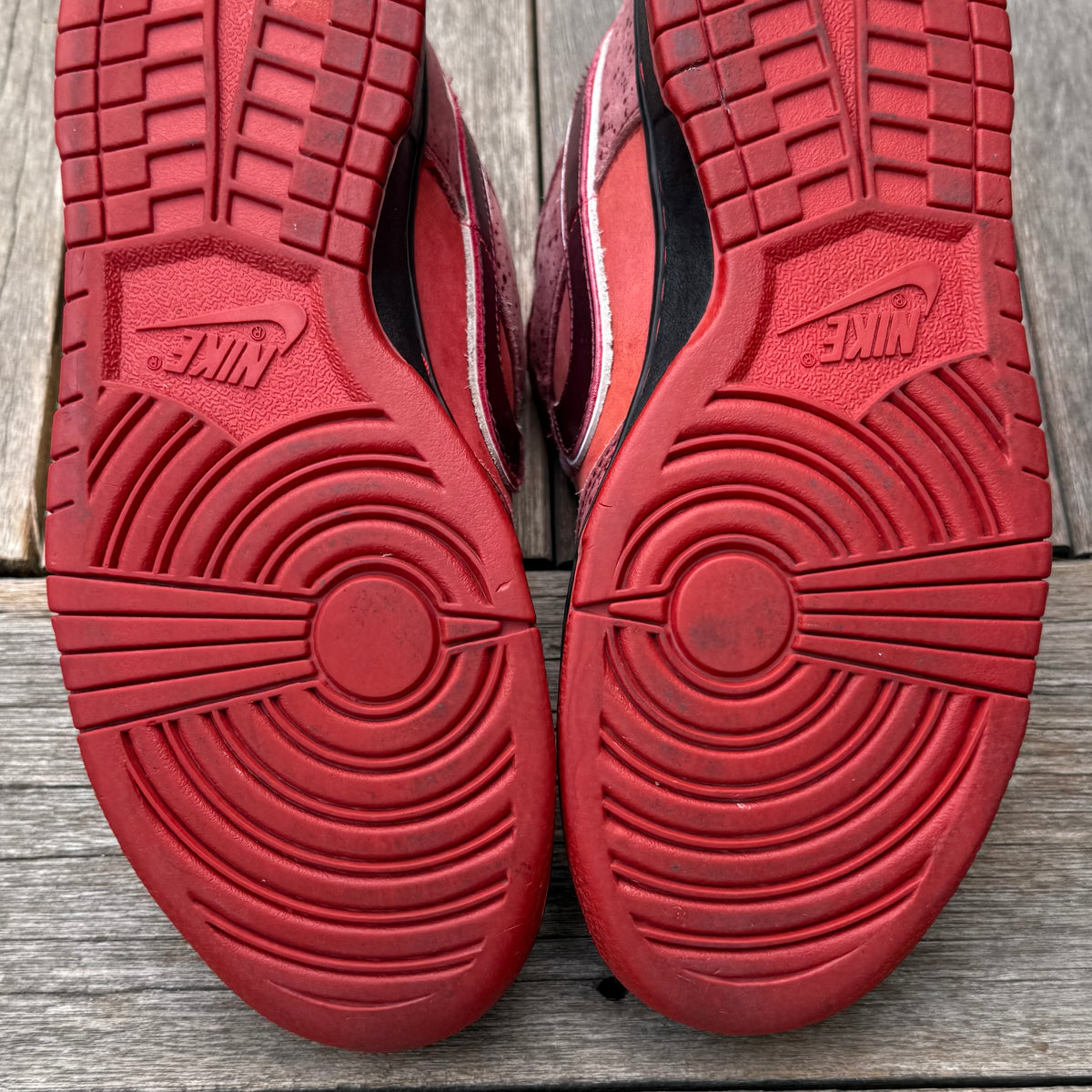 Nike SB Dunk Low Red Lobster Size 9