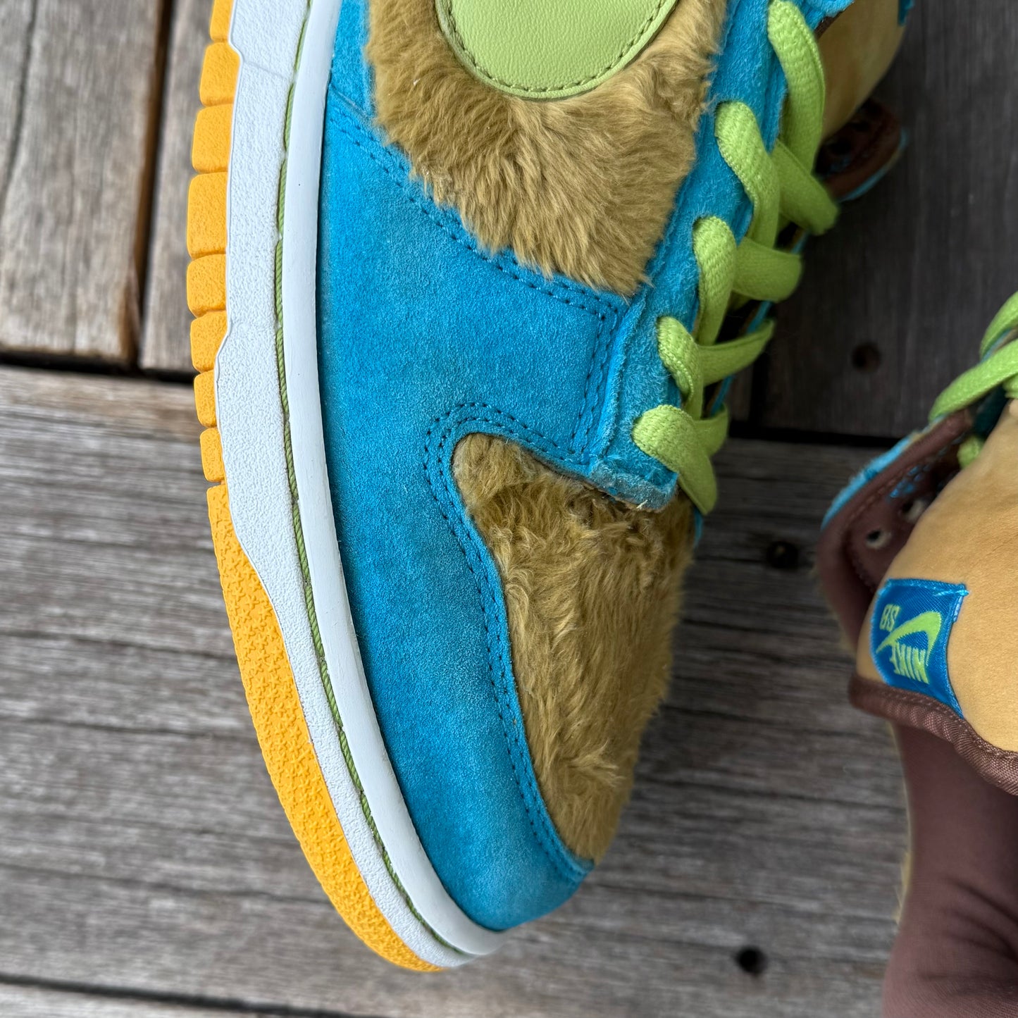 Nike SB Dunk Low Baby Bear Size 10