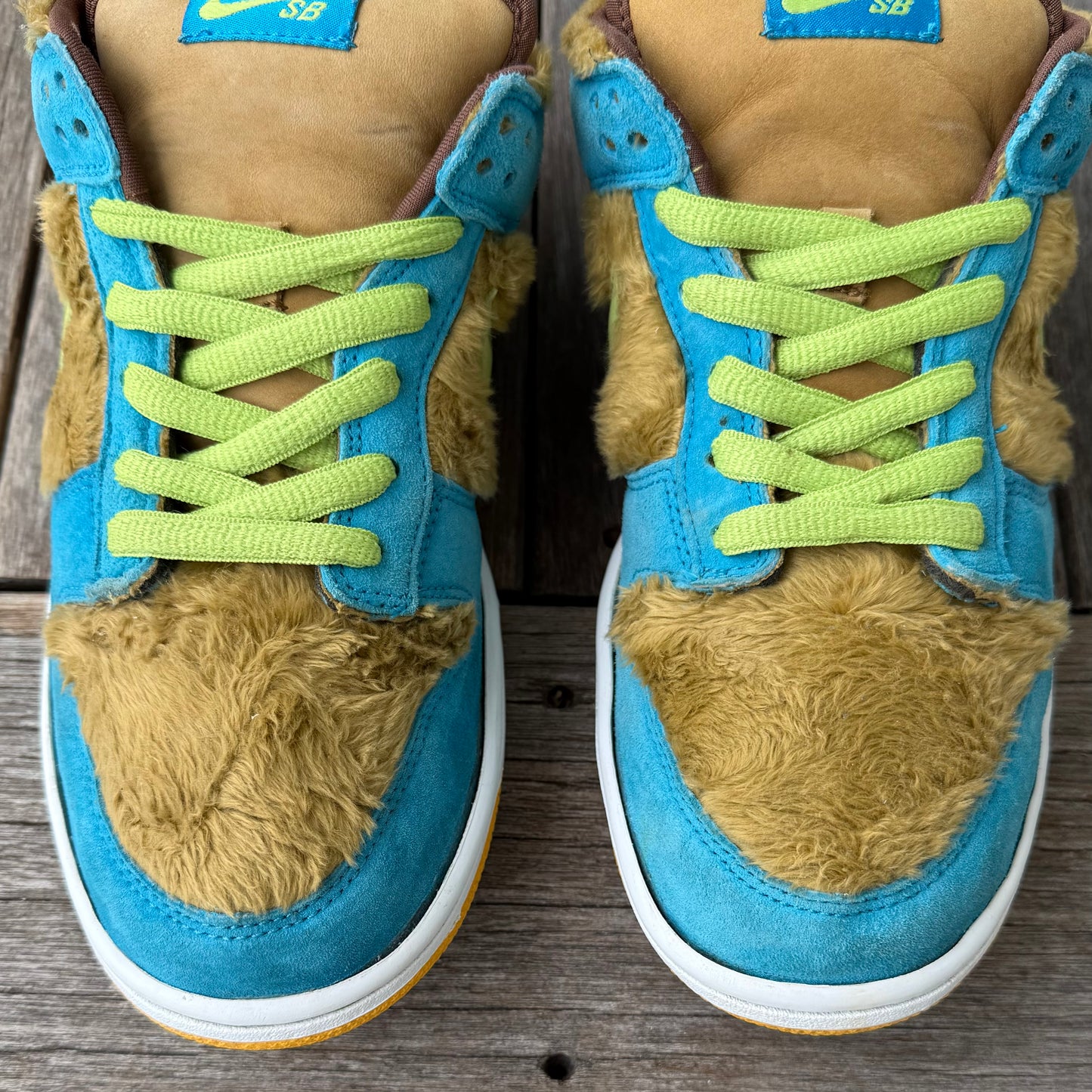 Nike SB Dunk Low Baby Bear Size 10
