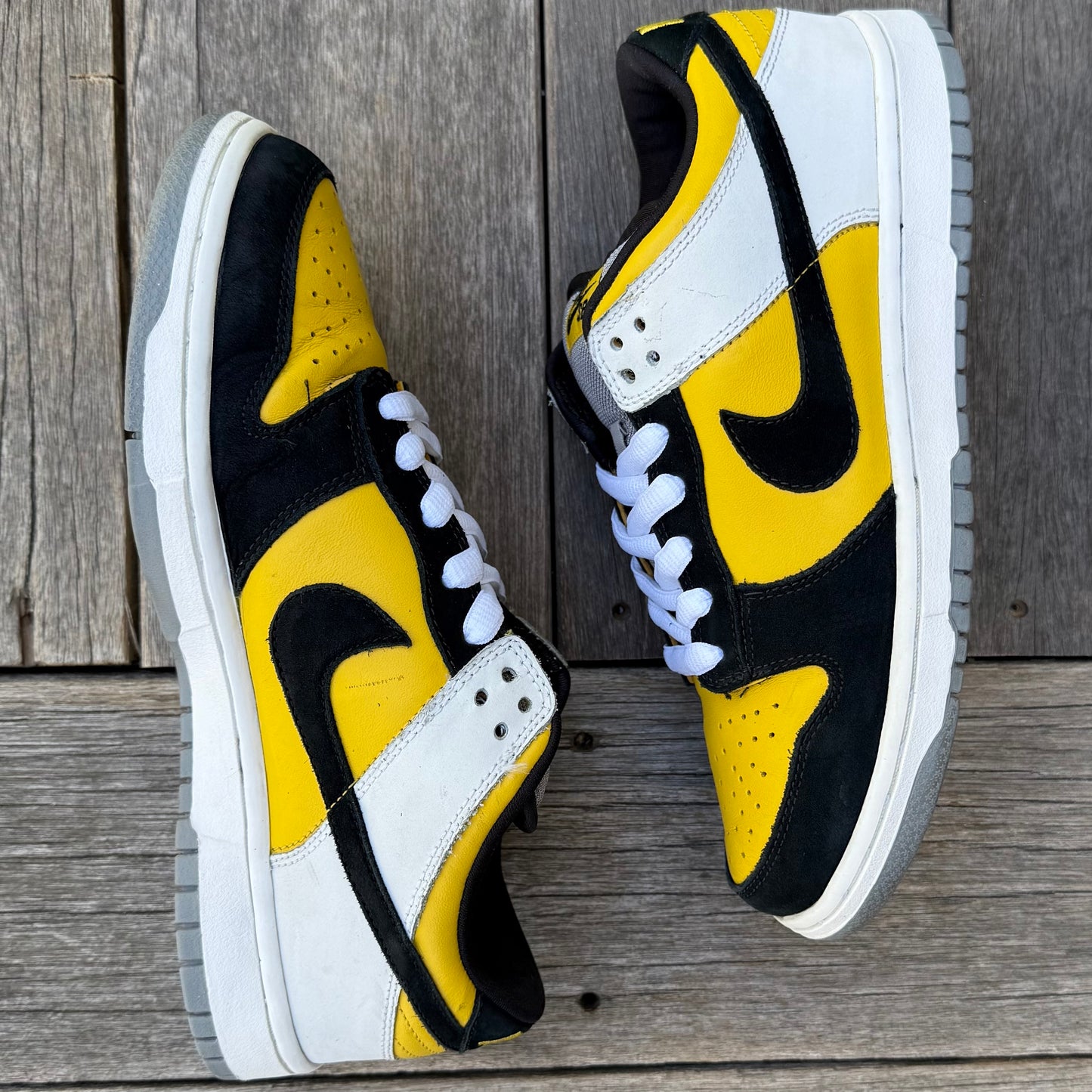 Nike SB Dunk Low BIC Size 9